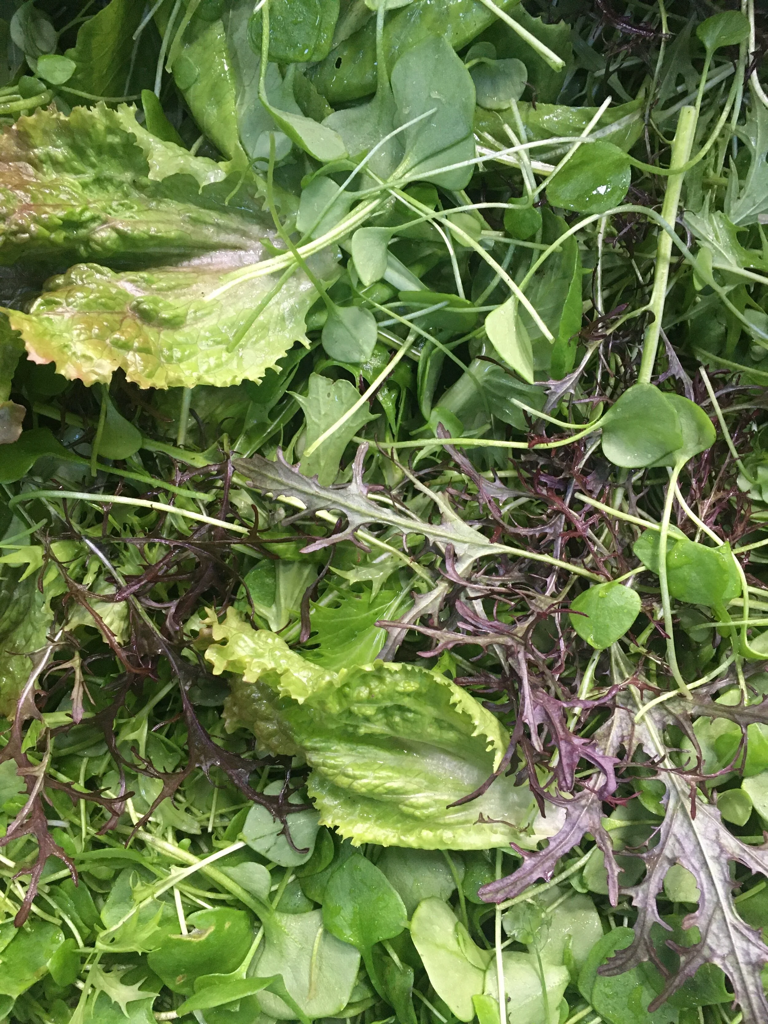 A0E1D780-B9EA-4555-AAF8-E820B07D5986