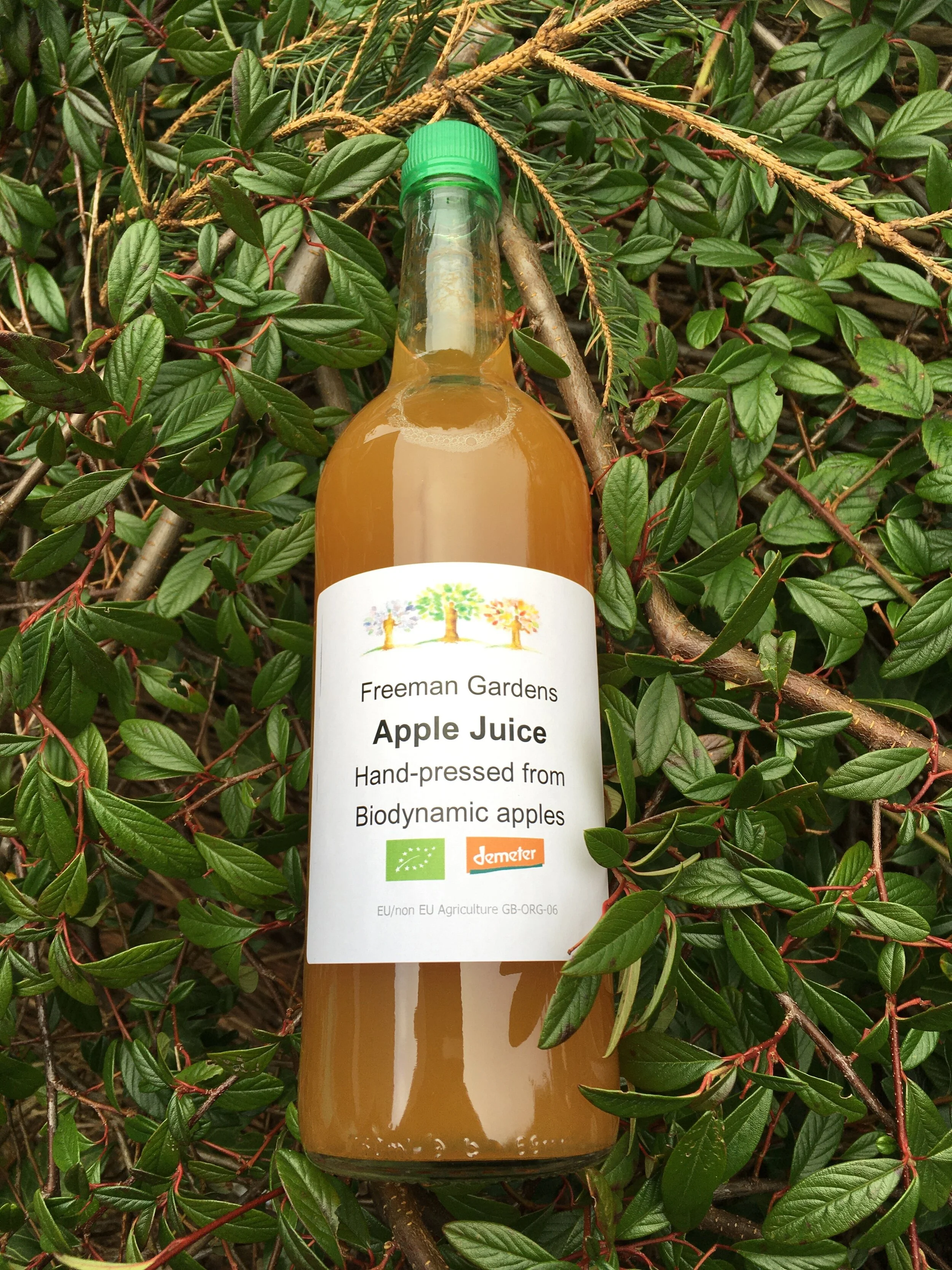 CC566550-83F6-4BA8-8536-29994AE10875