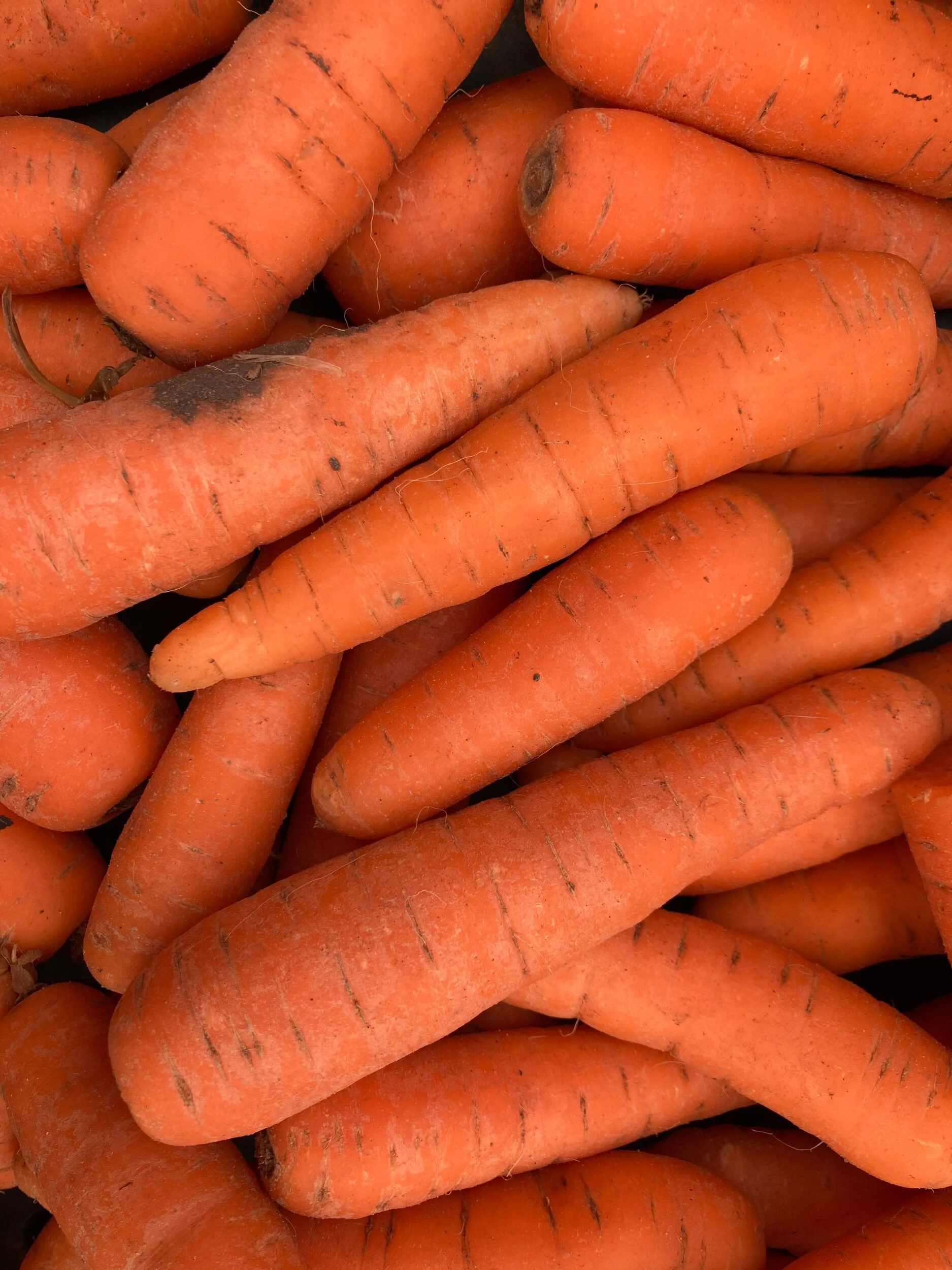 C3F974B9-0F4C-4DB8-8BCD-287C7AA16FA3