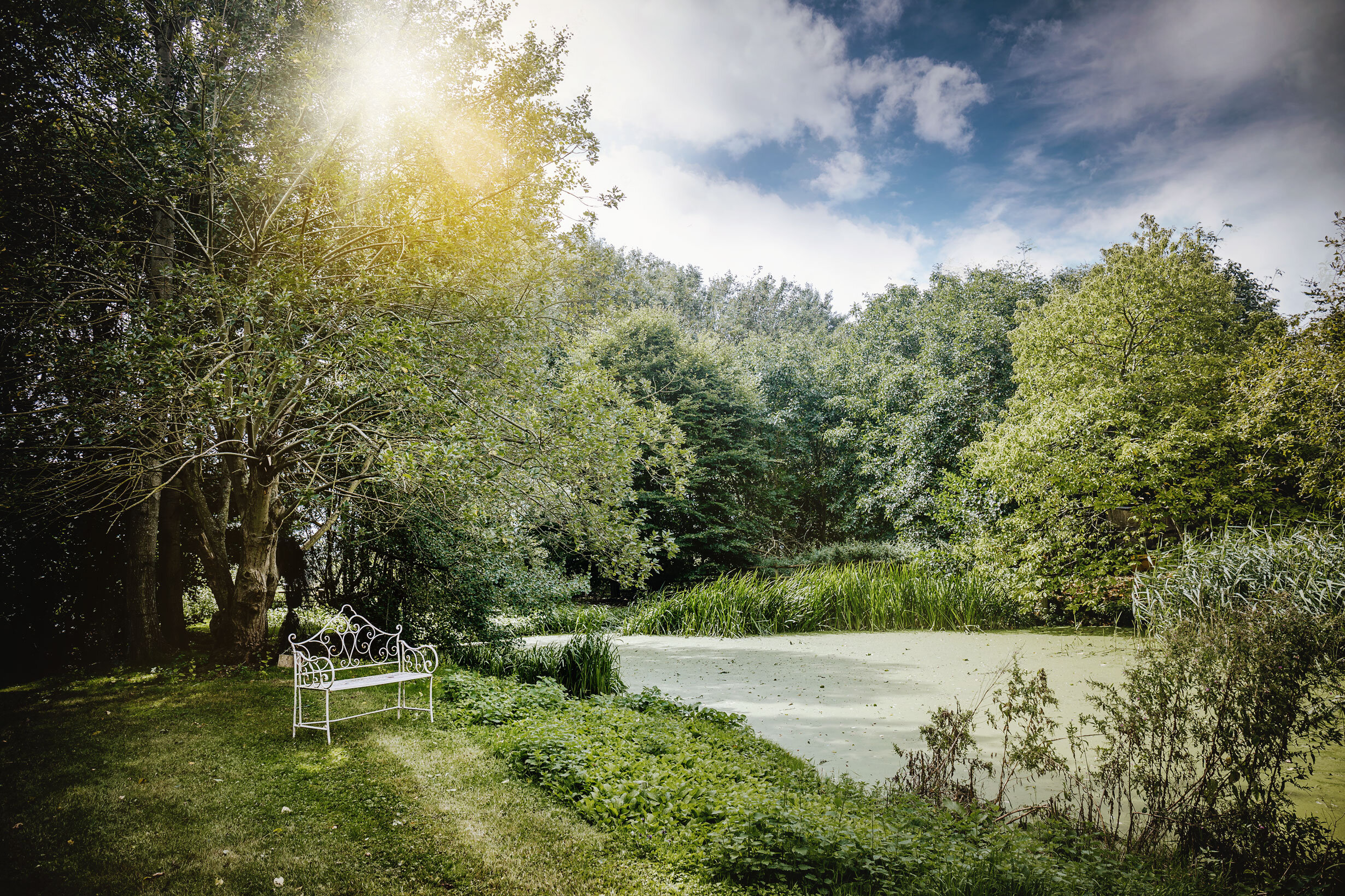 Worton_Hall_pond_area_Vicky_Lewis_Photography.jpg