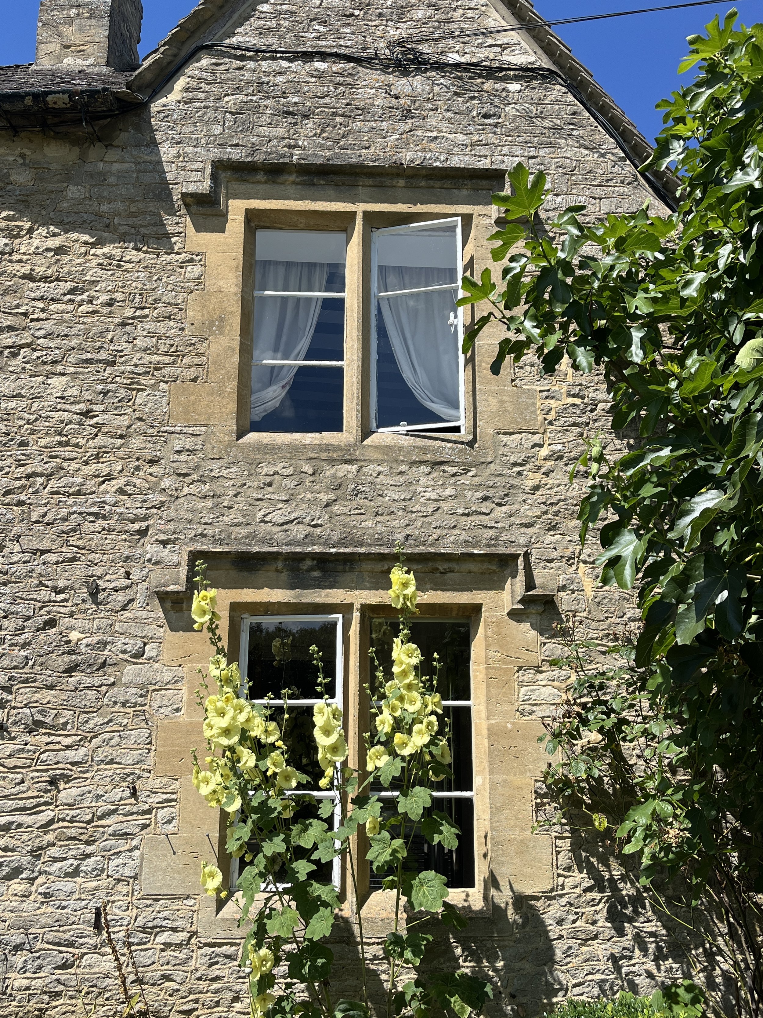 23.5 FH Garden.JPG