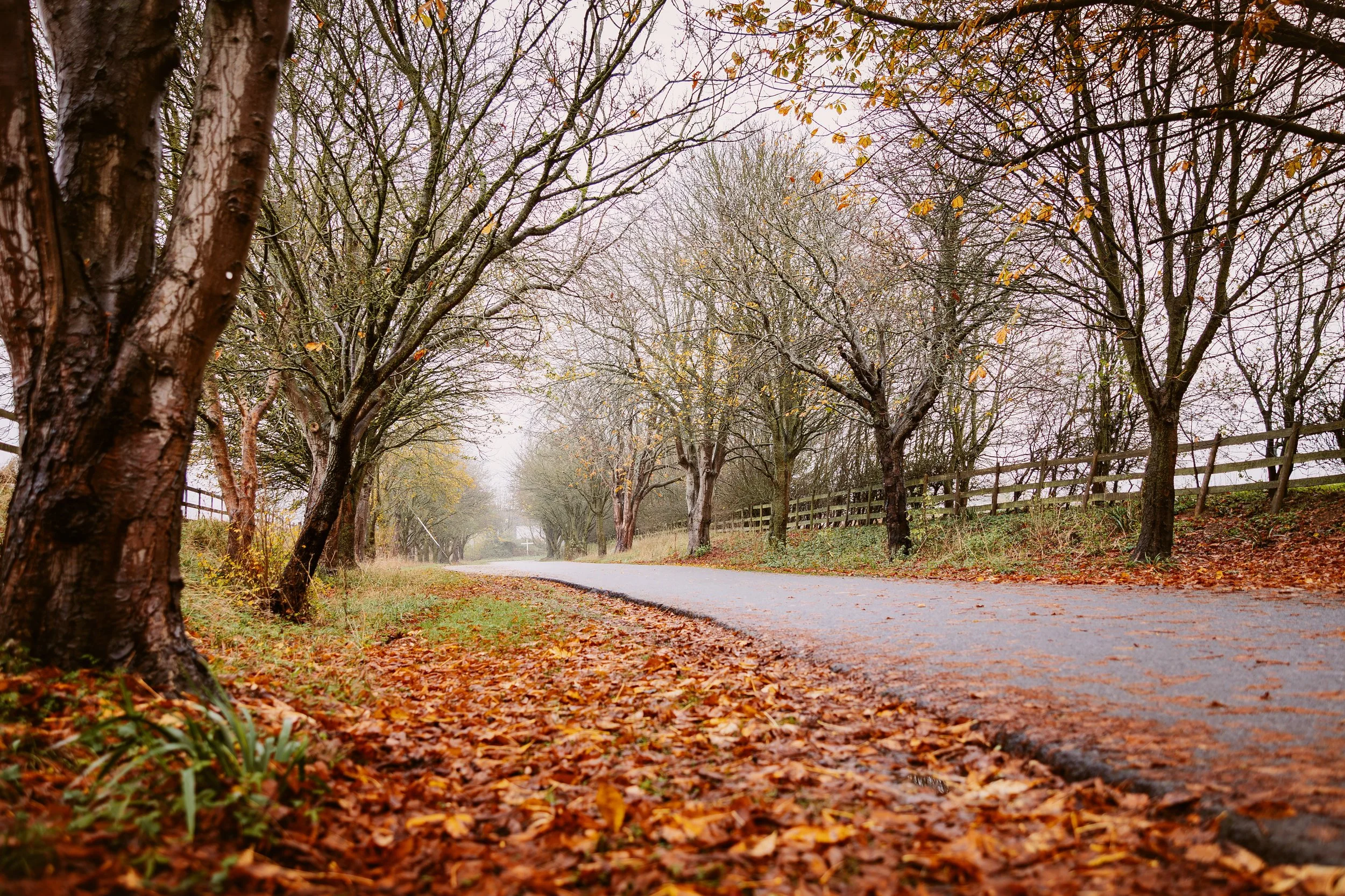 Local Events in 2026: What’s On in Oxfordshire Near Worton Park