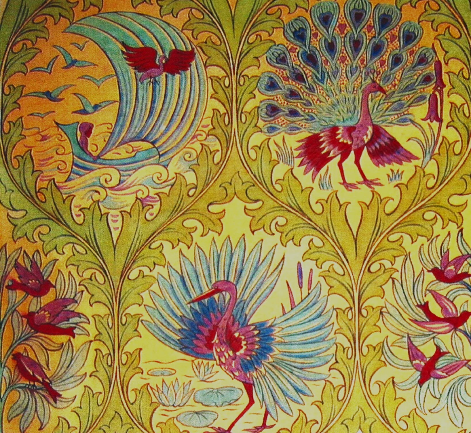 peacocks.jpg