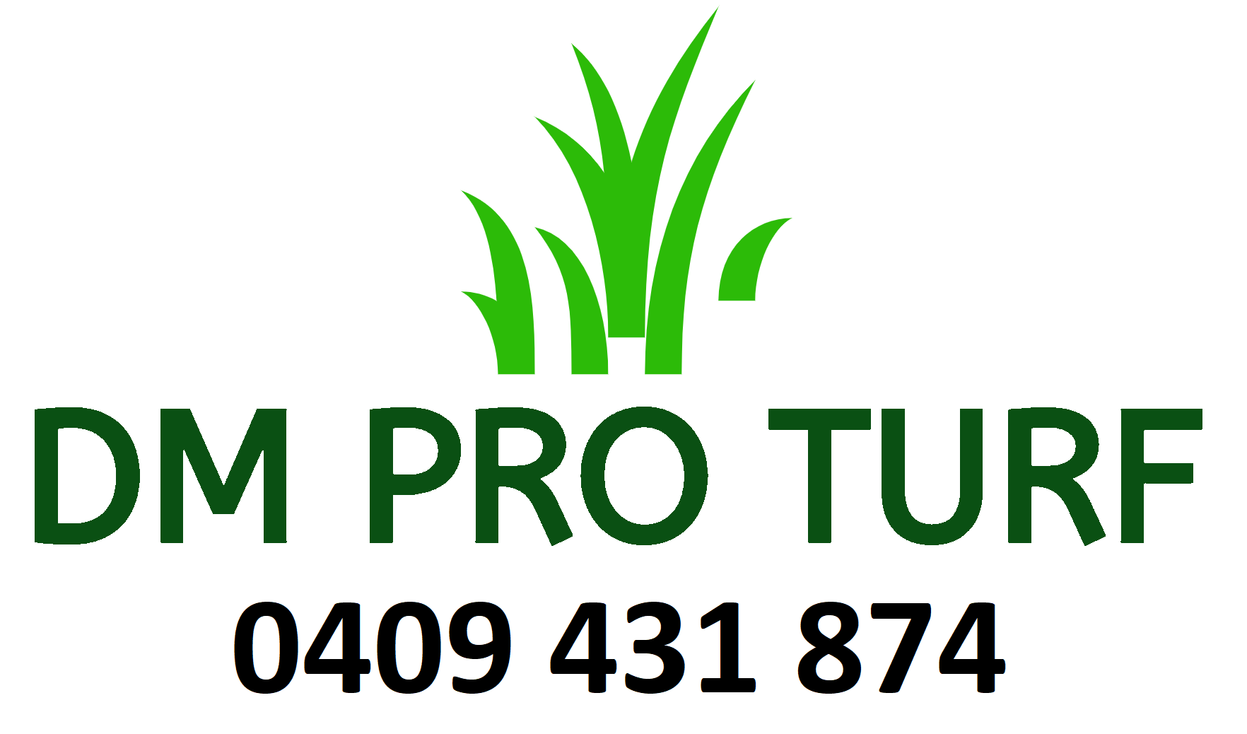 DM Pro Turf