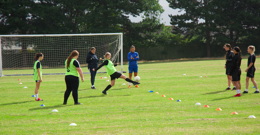 Screen Shot 2019-08-05 at 8.09.36 AM.png