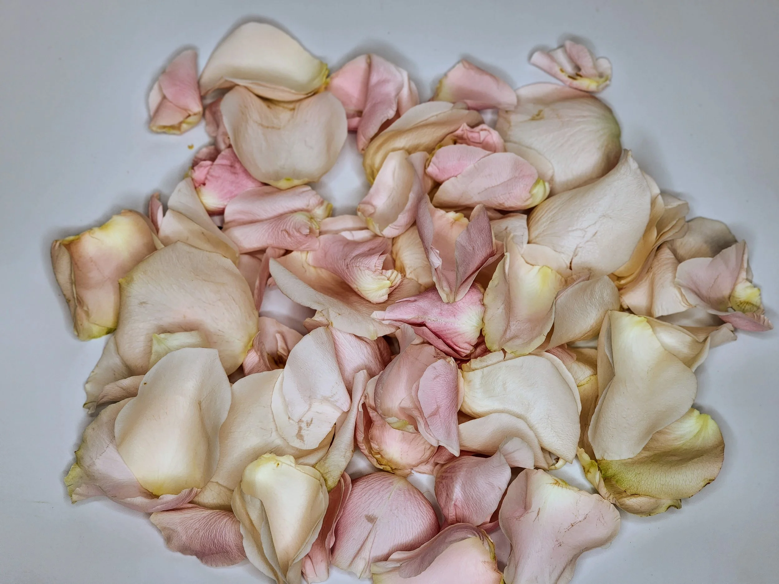 Rose Petals — Fleurs & Events