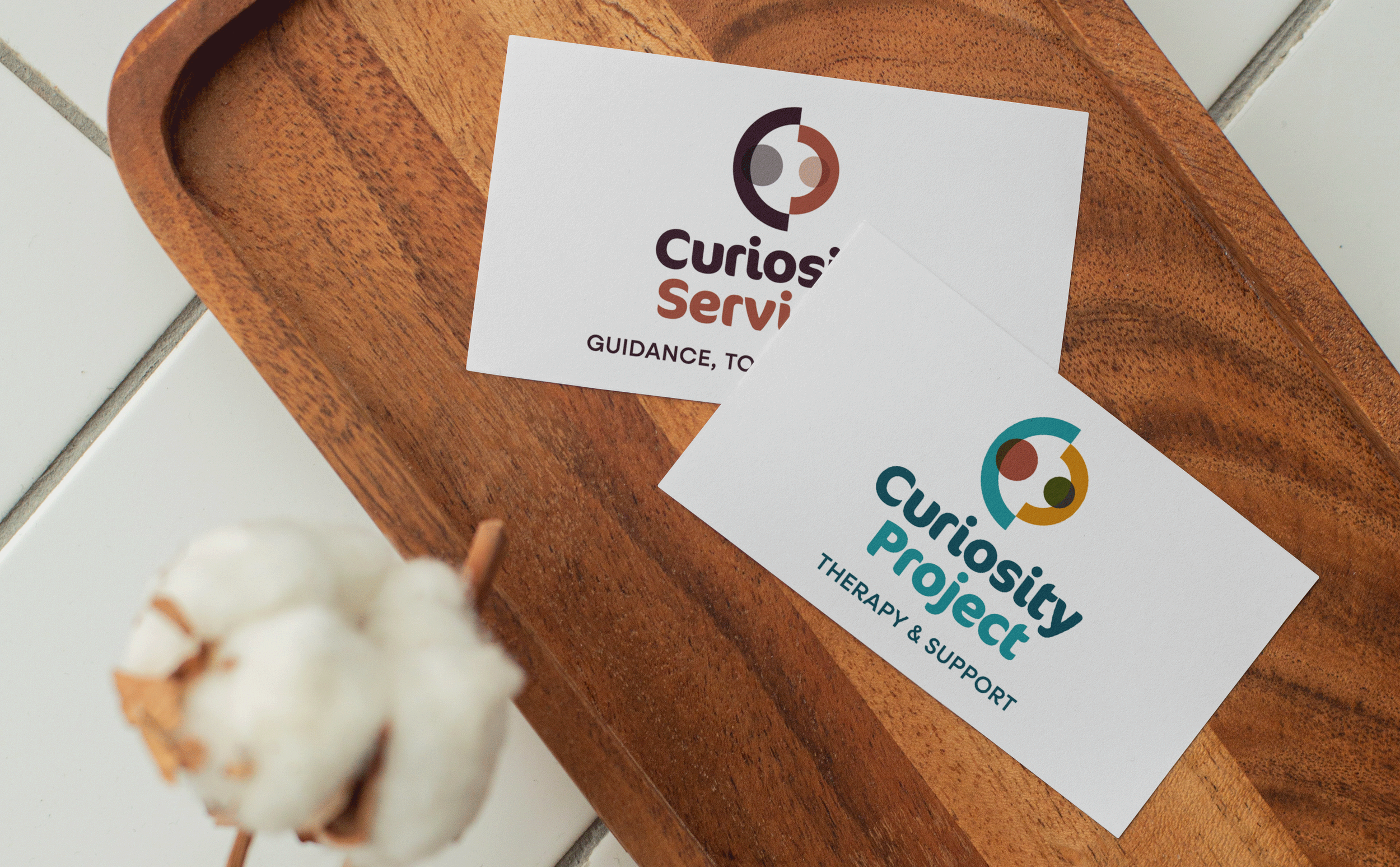 Curiosity Project & Curiosity Services