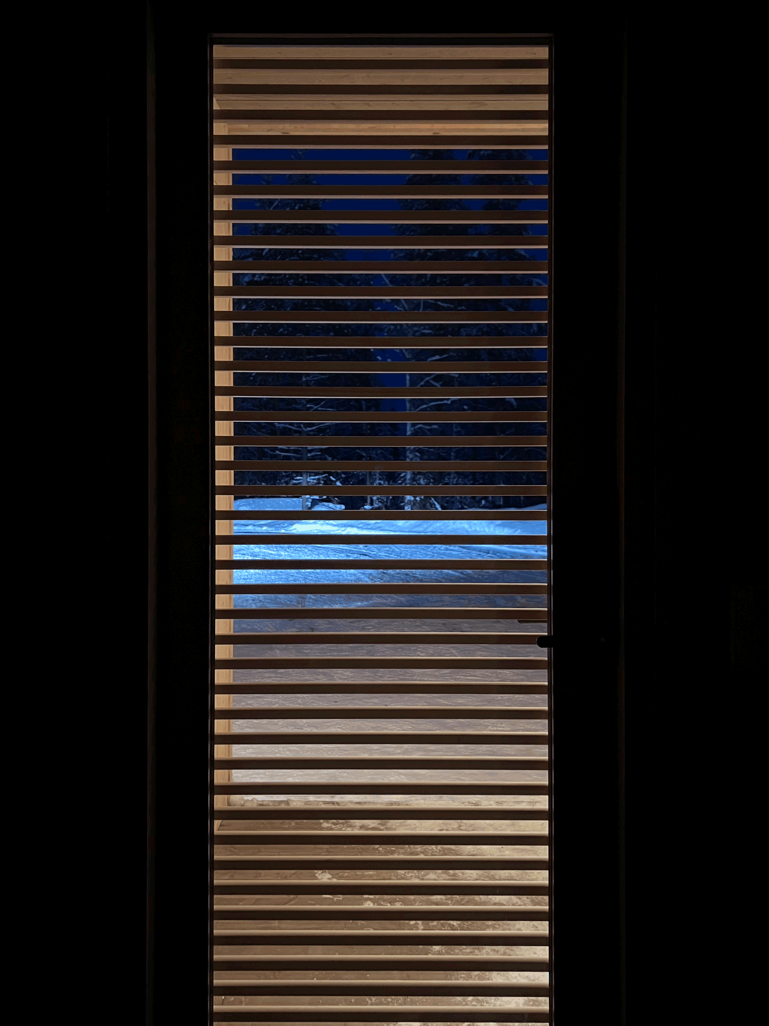 IMG_1295-2.png