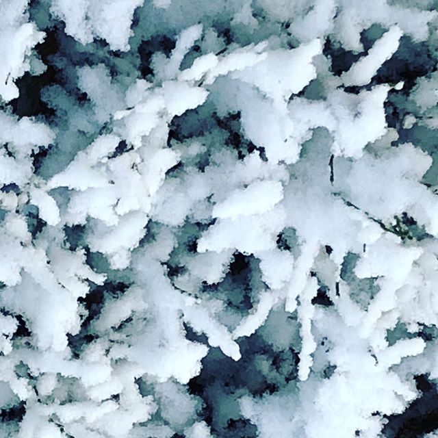 #neve, #snow, #natural, #naturalelements, #villacallela, #finland, #finlandia🇫🇮
