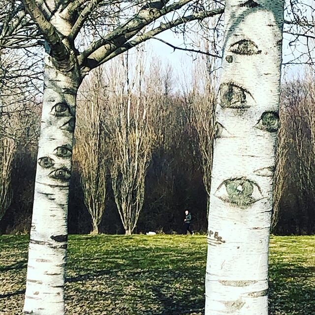The #trees that can see with their #eyes. Gli #alberi #occhi #guardarecongliocchidiunalbero. #element of #wood also that #senses is a part of #healthy living. #aediconcept