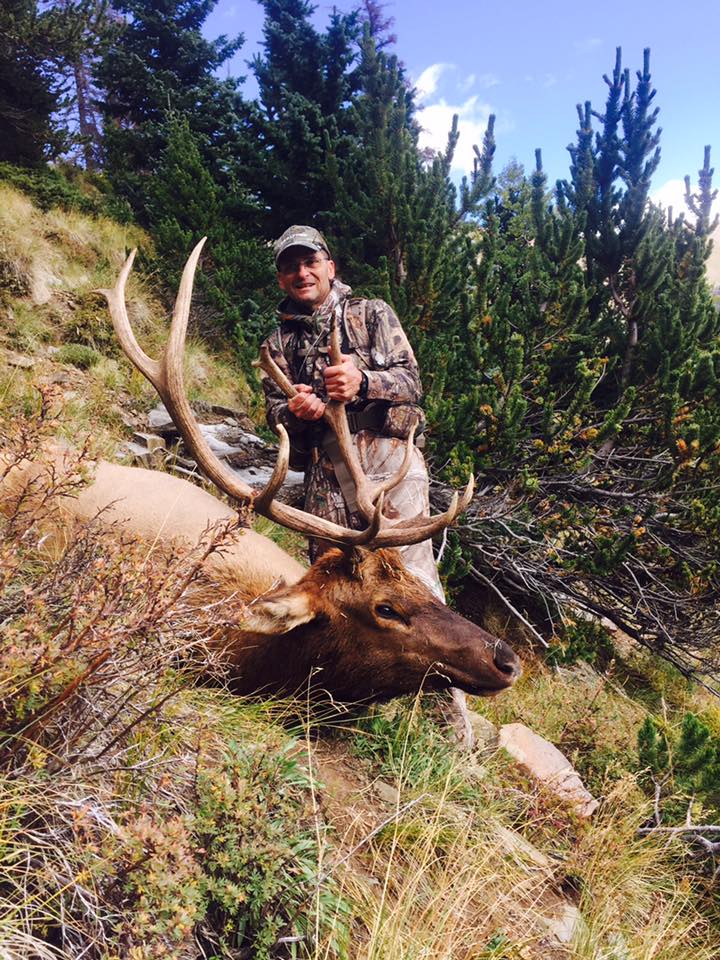 Finished up a great archery week with this unit 82 bull. Congratulations Greg Wilson! Greg worked hard for this bull. He kept step for step with as good a guide as there is in the business in the rugged and steep Sangre de Cristo mountains. To top it off, he had a stand off with a bear to reclaim his meat before we could get the mules to it! What a hunt! Great job Greg!