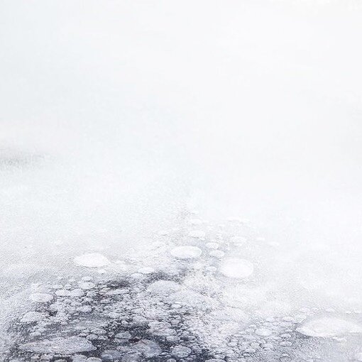 Choose courage over comfort. Choose whole hearts over armor. And choose the great adventure of being brave and afraid, at the exact same time.
( Bren&eacute; Brown )
&bull;
Image @marinebertoli 
&bull;
&bull;
#quotes #quoteoftheday #quote #quotesabou