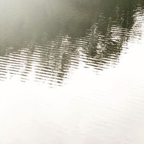 The beauty you see in me 
is a reflection of you.
( Rumi )
&bull;
&bull;
Image @maria_savola 
&bull;
&bull;
&bull;
#quotes #quoteoftheday #quote #quotesaboutlife #photography #photooftheday #photo #reflection#nature #naturfotografie #naturephotograph