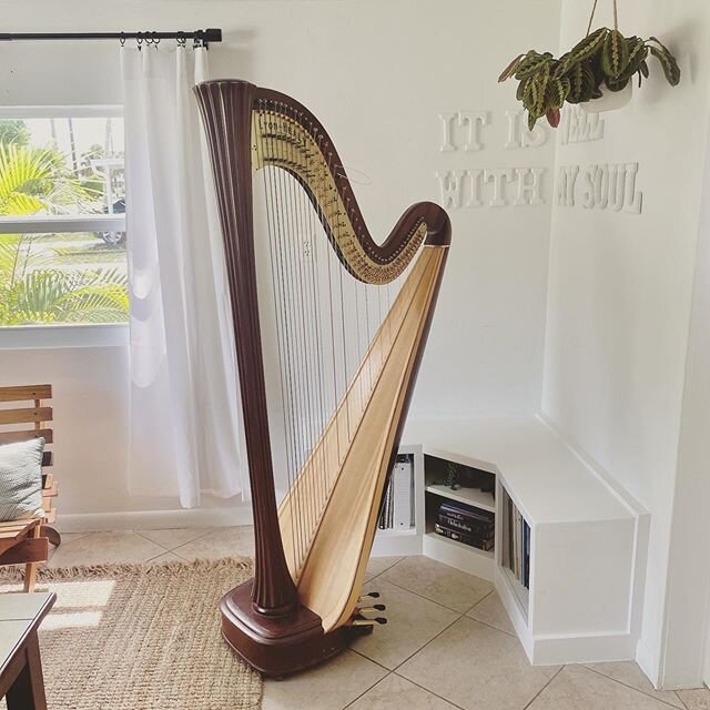 Got a refresh on the harp corner this weekend with a built-in harp bench and music storage! This will be a lot easier than pulling music from a tub under the bed 🤦🏻&zwj;♂️ #harp #practicalharpist