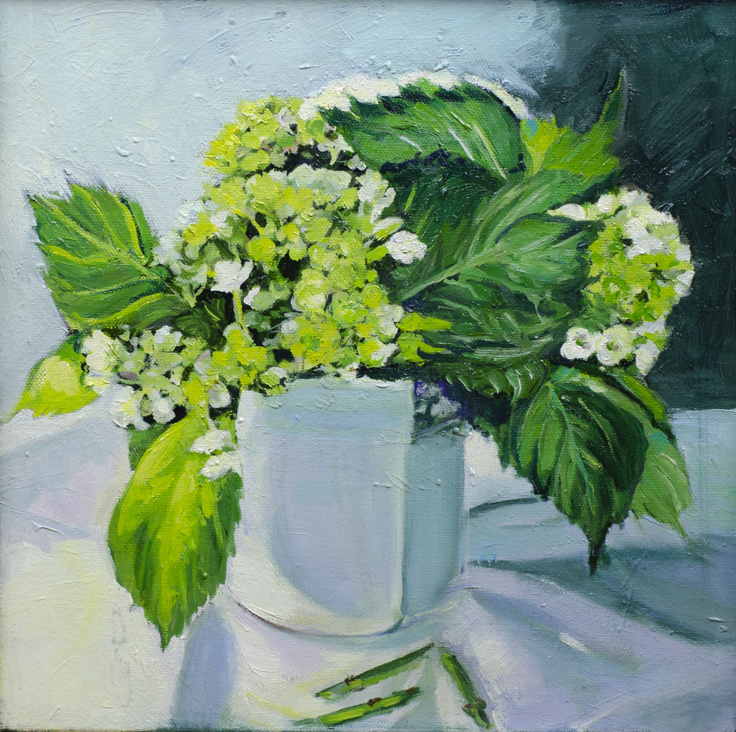 hydrangea.png