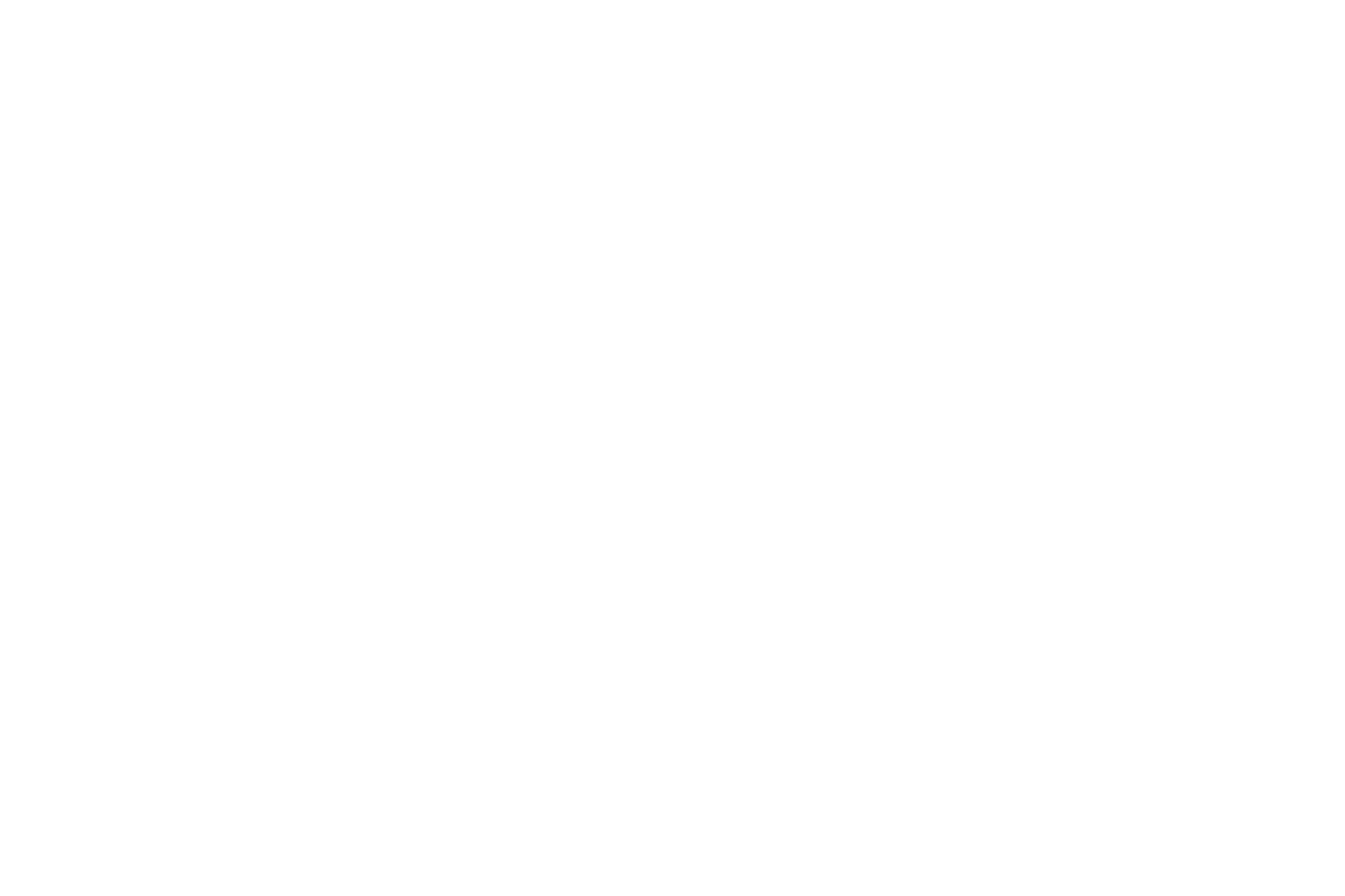 Betsey Johnson logo in white