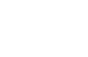 logo_adidas.png