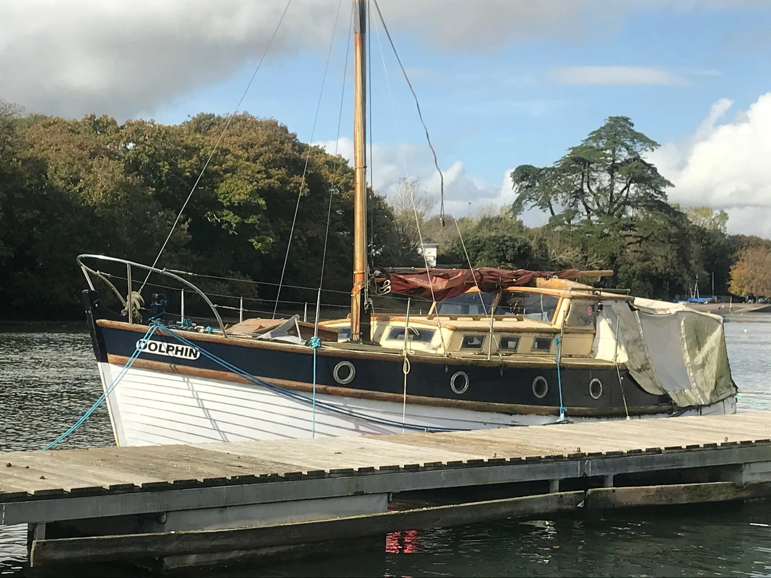 The Dolphin Project