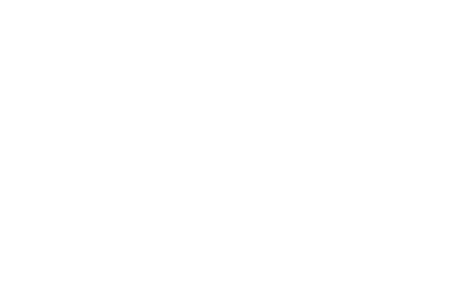 SAAM Arcade.png