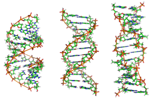 dna.png