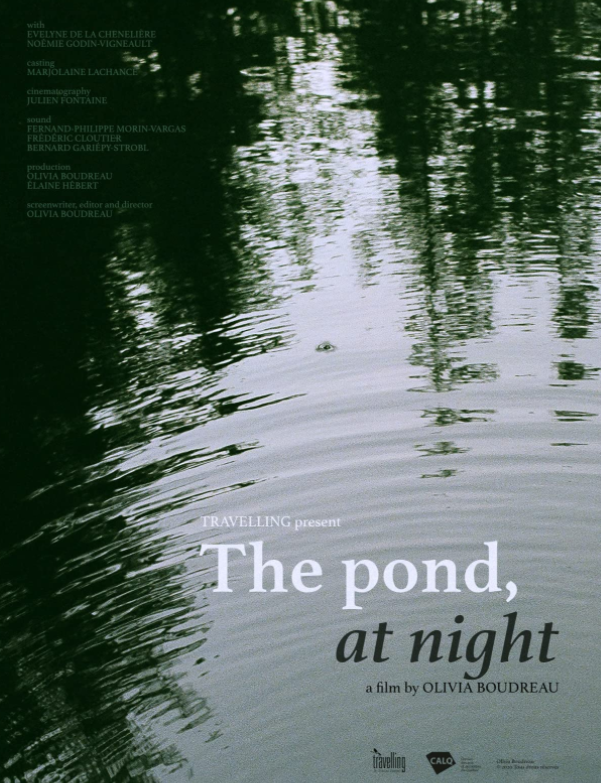 The Pond, at Night