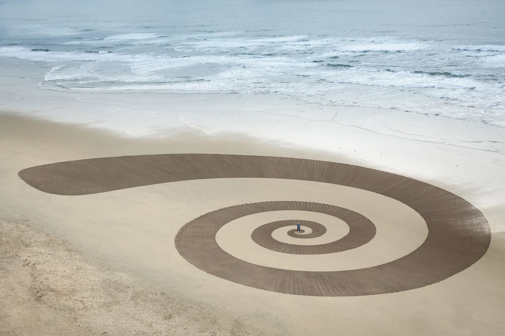 AfterImage Opening Night Reception and Screening