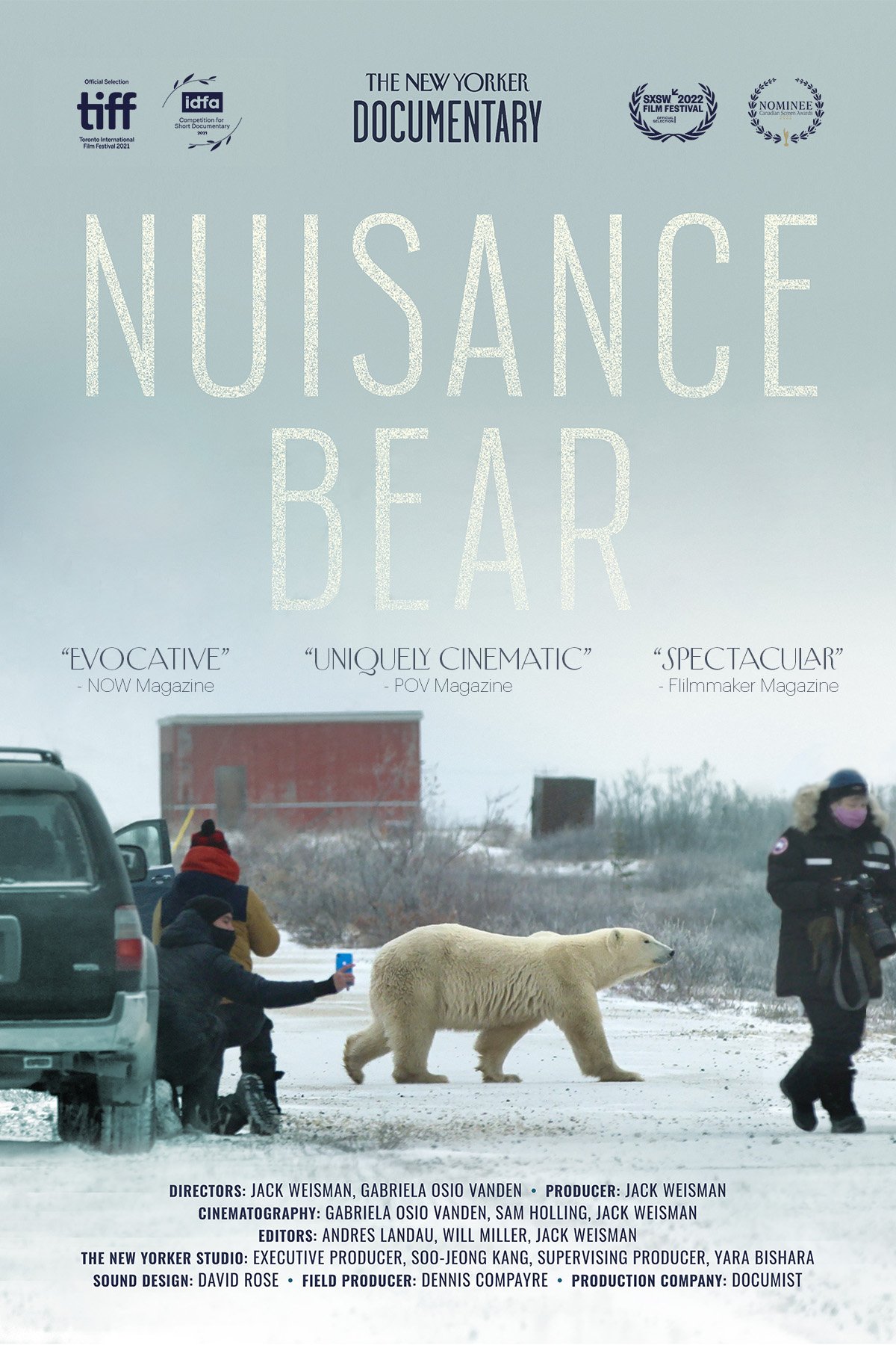 Nuisance Bear