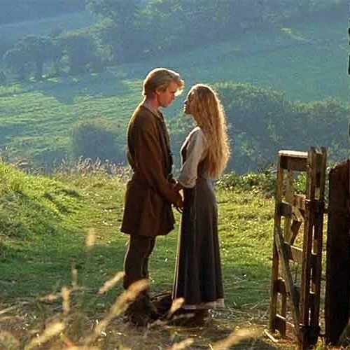 THIS WEEKEND! Join us Saturday, August 9 at the Fine Line Creative Arts Center for an outdoor screening of the classic film &lsquo;The Princess Bride&rsquo;! Food will be for sale, provided by the awesome chefs at Le Truff Noir! 

Scroll for more inf
