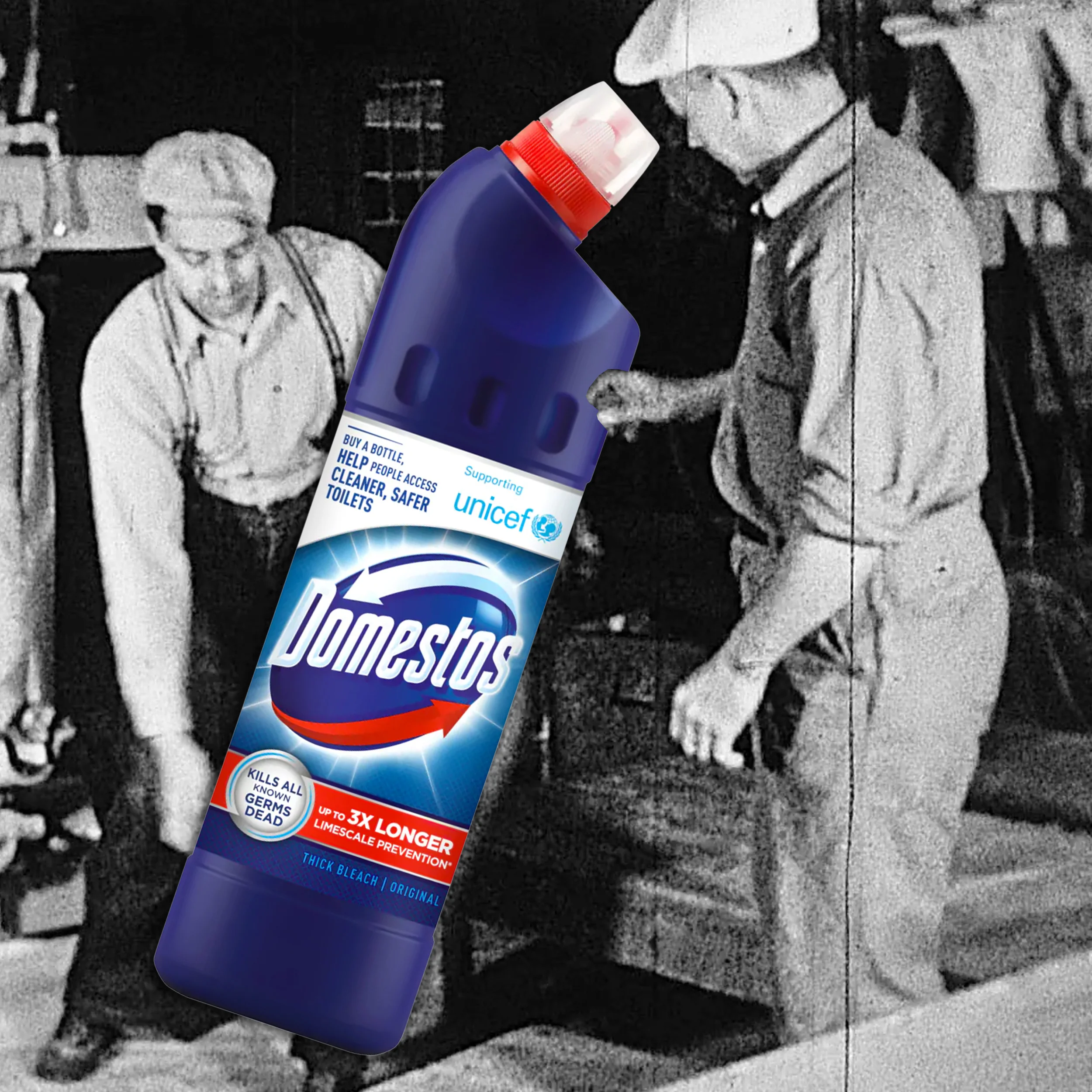 DOMESTOS.jpg
