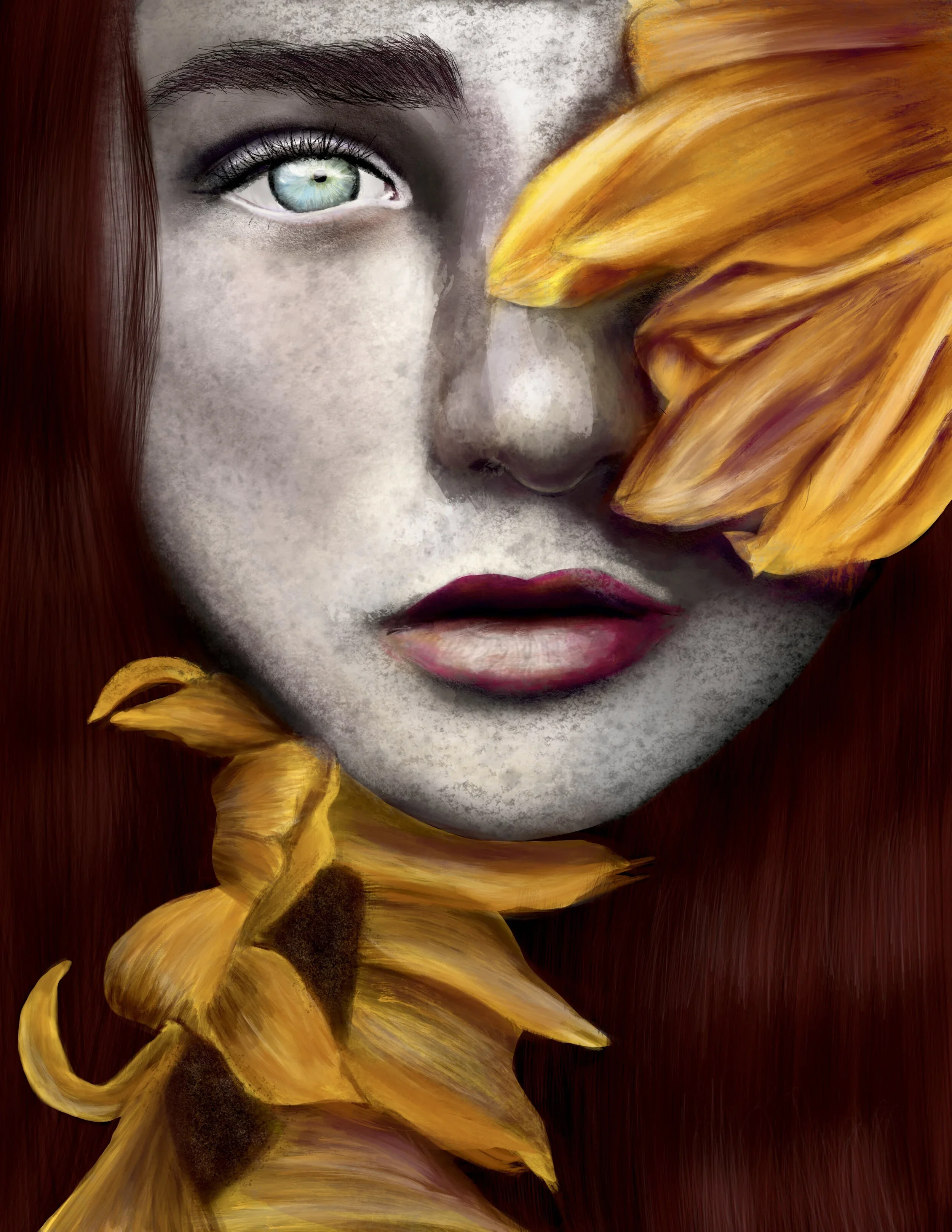 Digital Illustrations