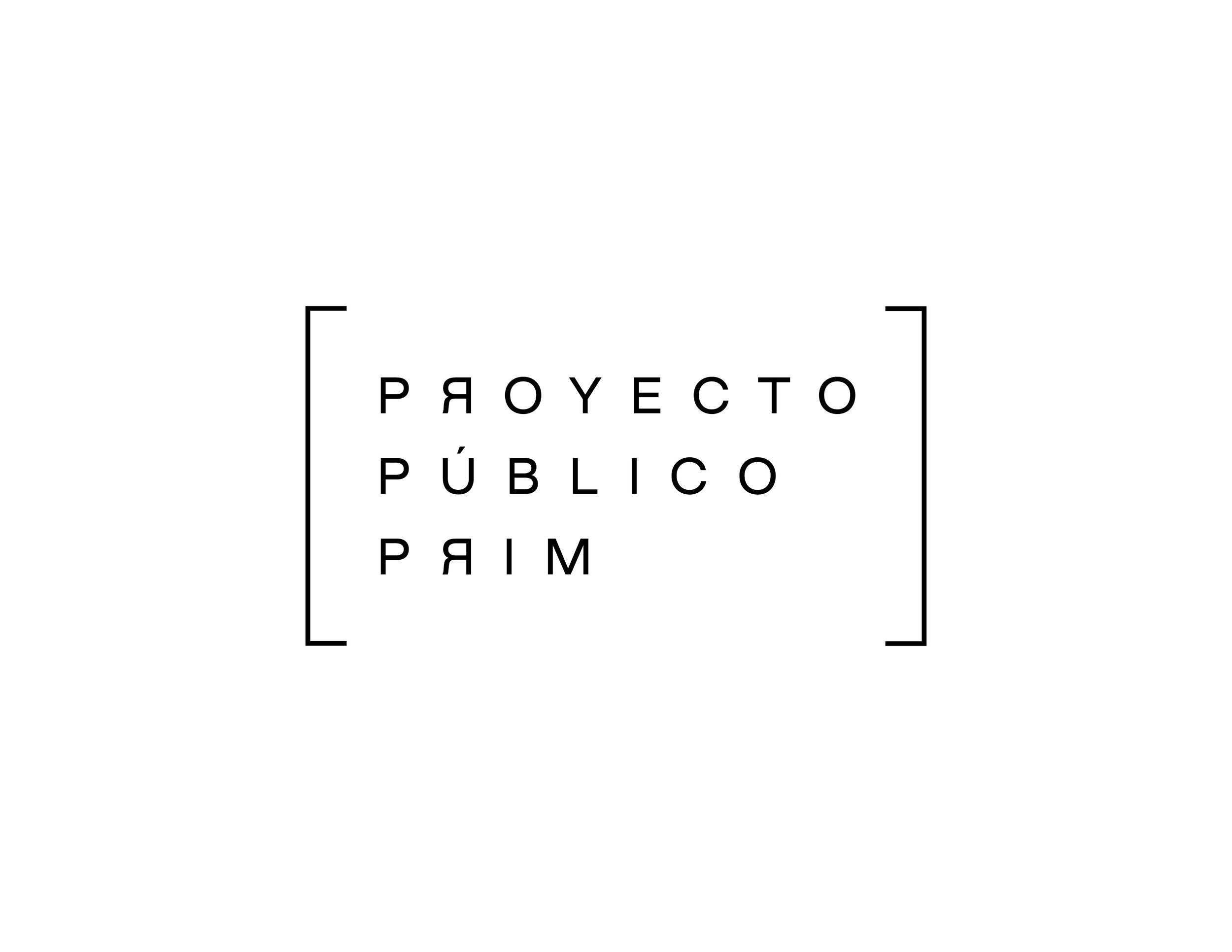 proyecto_publico_prim-01.jpg