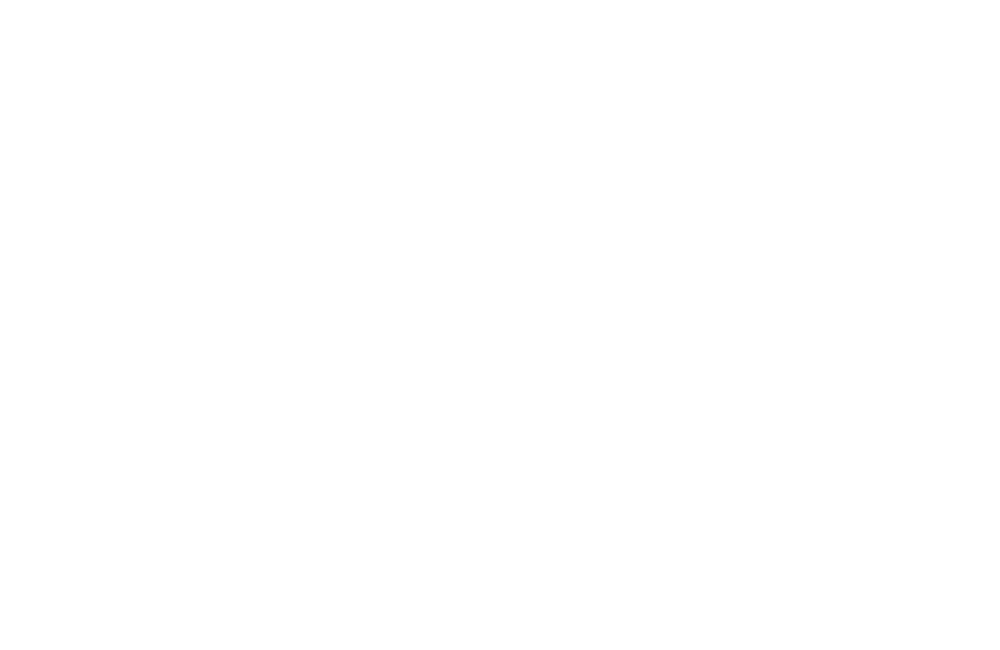 Druckerei Odermatt.png