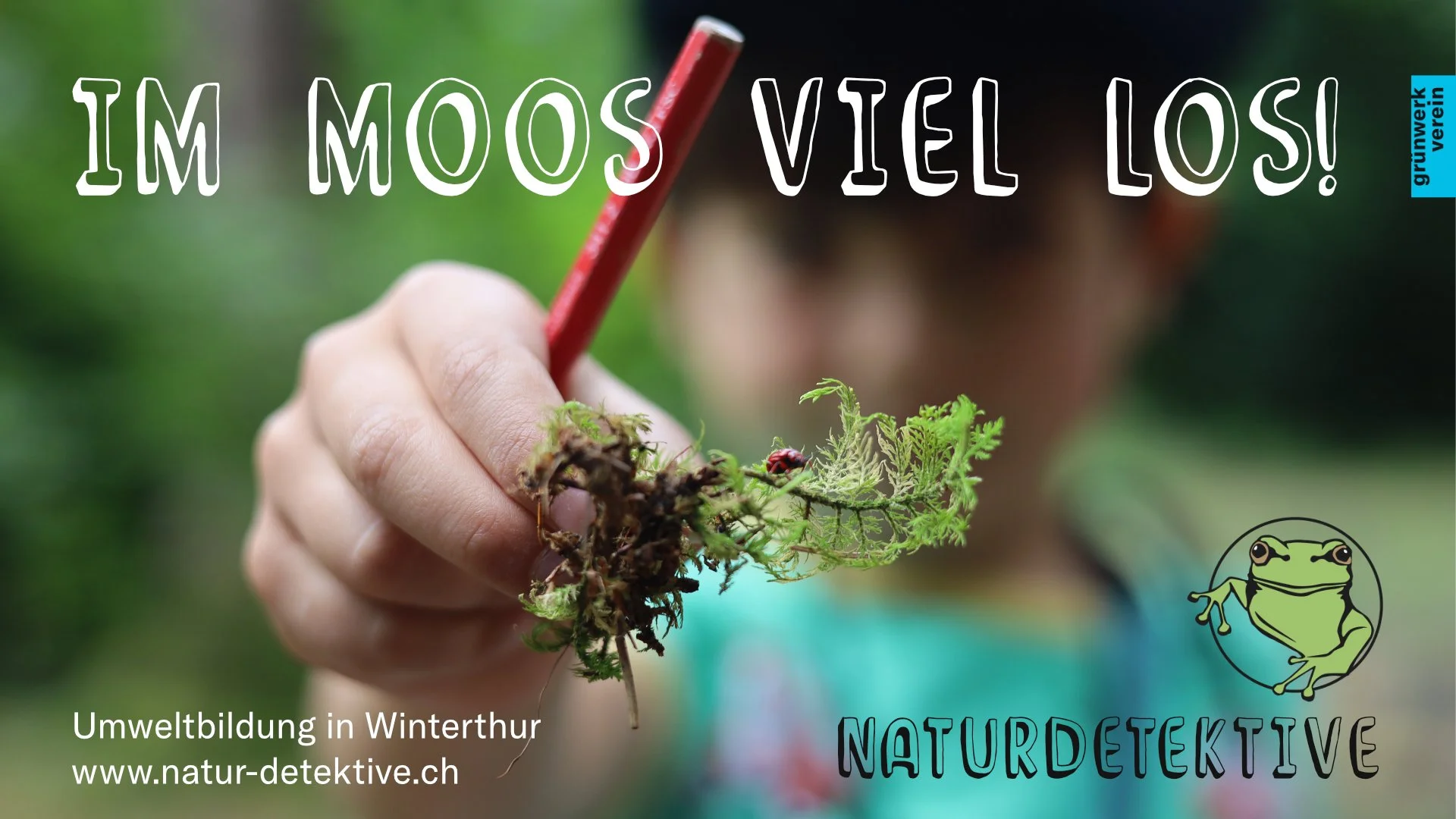 Naturdetektive.jpg