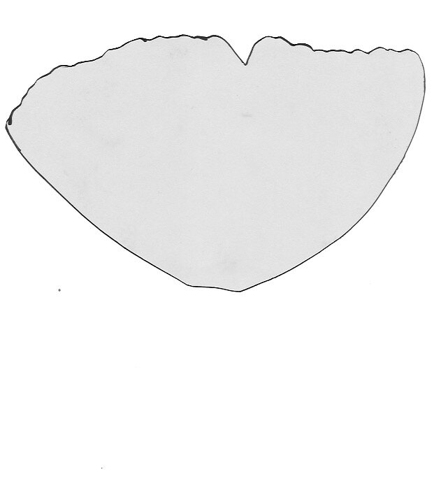 Click on the image to print PDF file