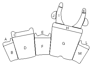 sendaiflat.gif