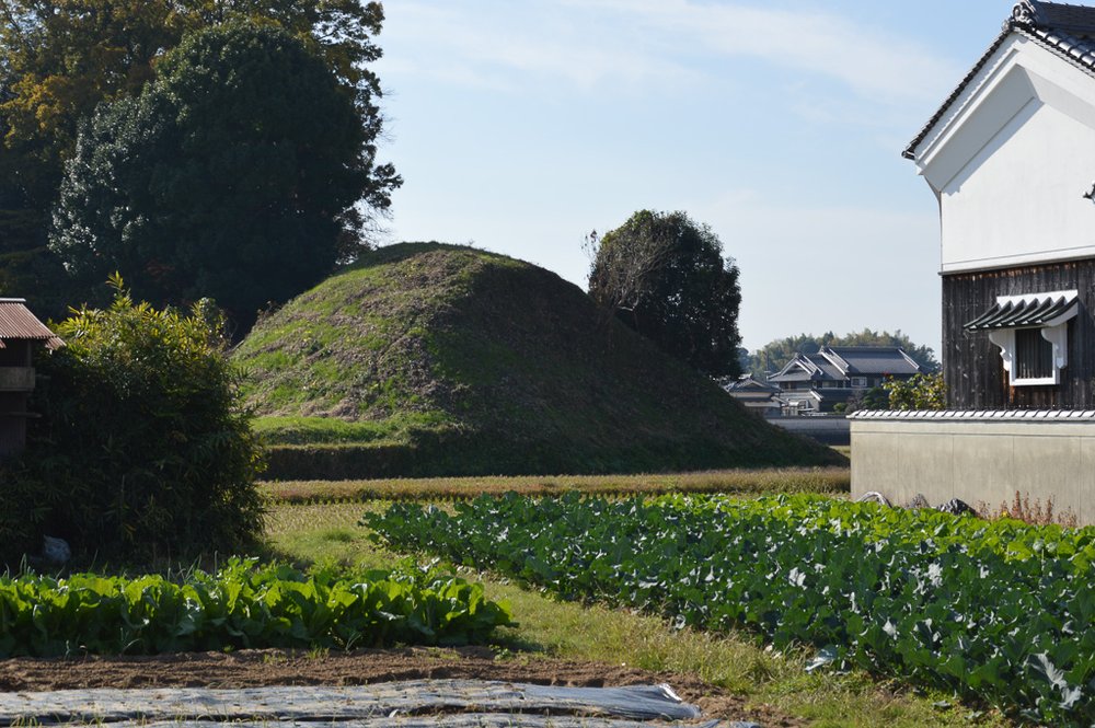 Ikatsuchi Gion Castle Ruins