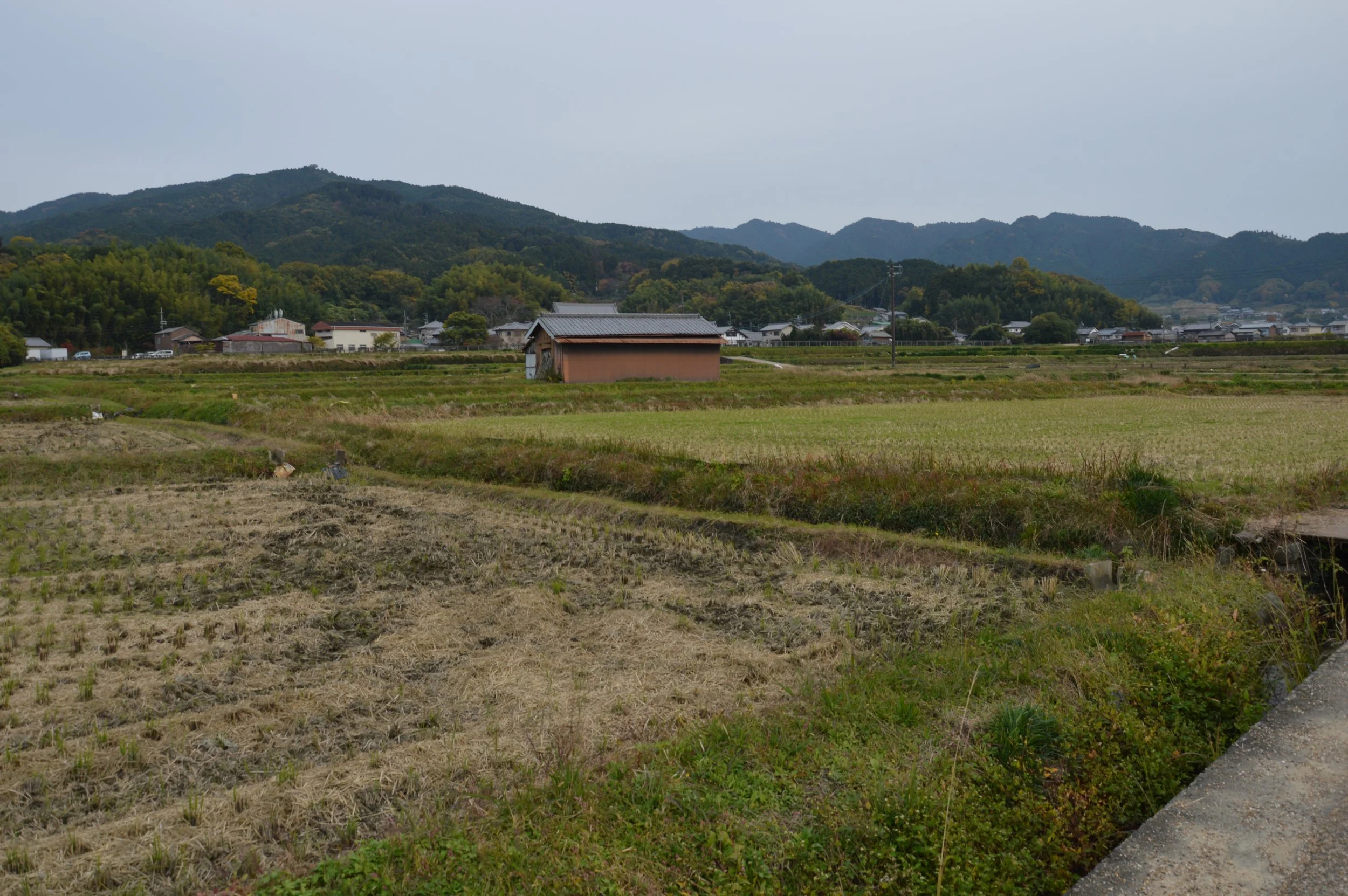 Asuka Palace 10.jpg