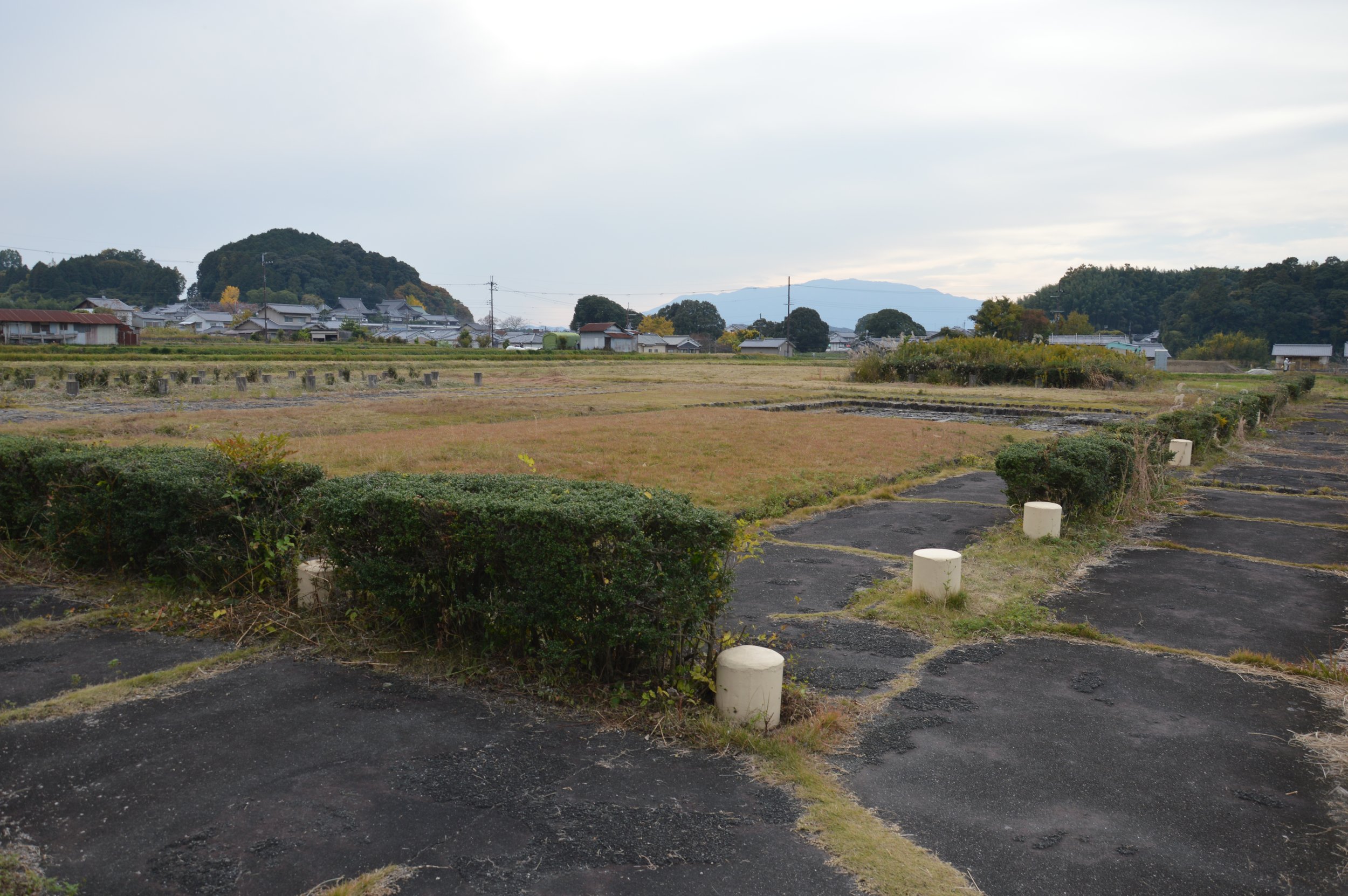 Asuka Palace 15.jpg