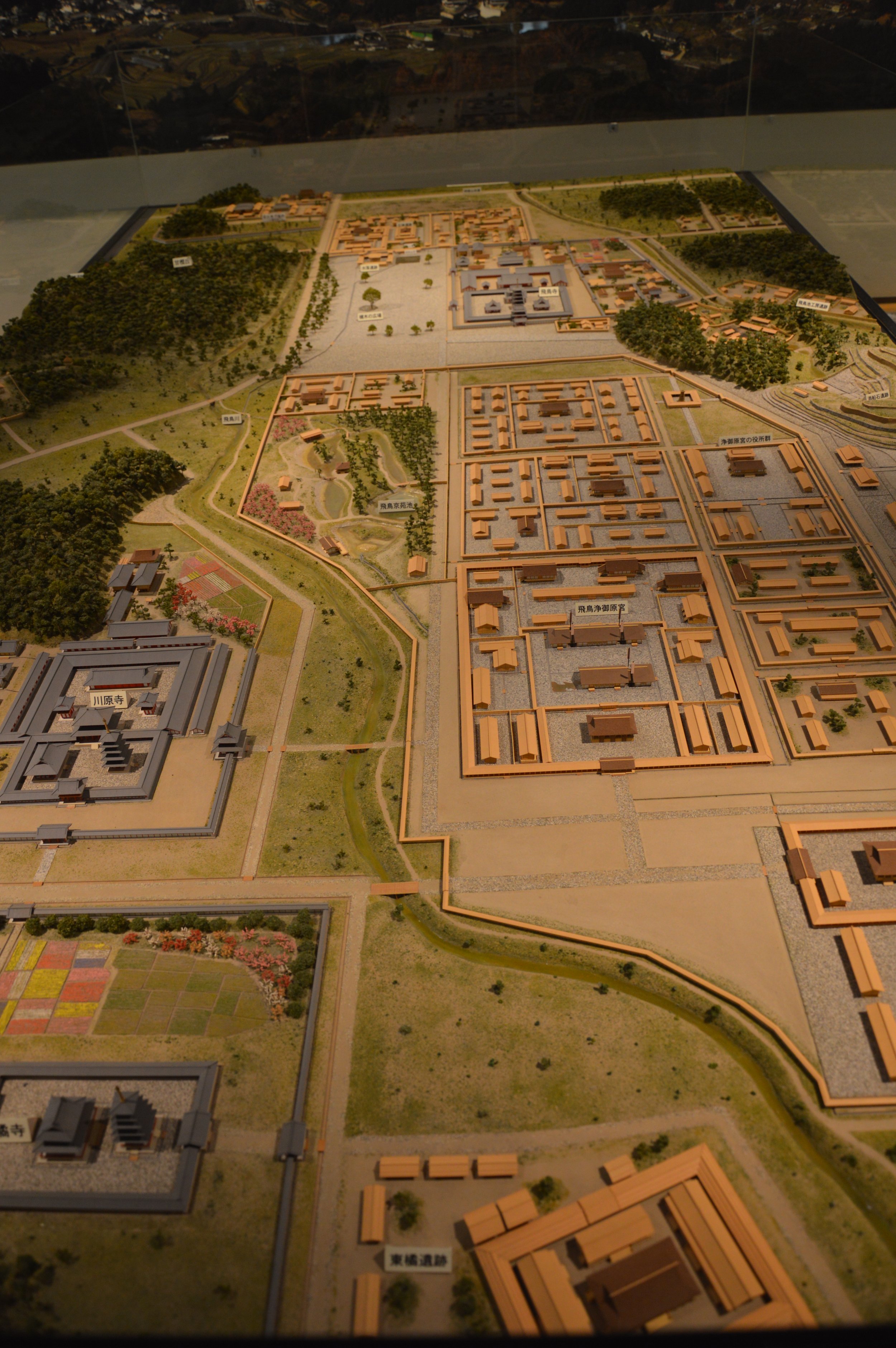 Asuka Palace site.jpg