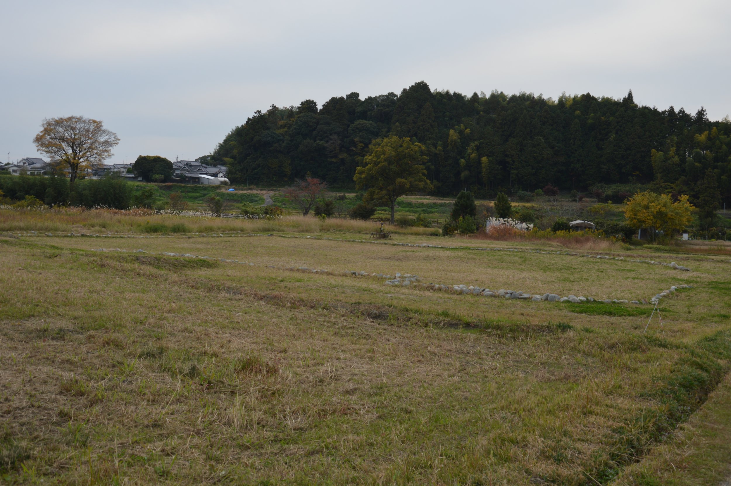 Asuka Palace 11.jpg