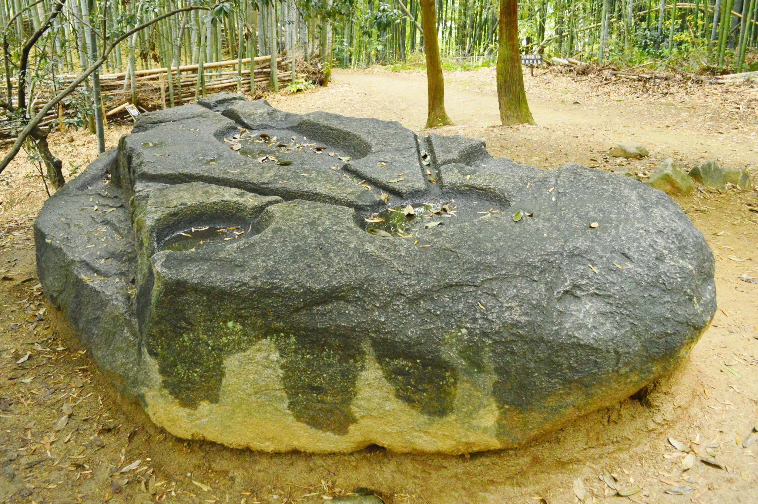  CC0 by Wikimedia Commons. 