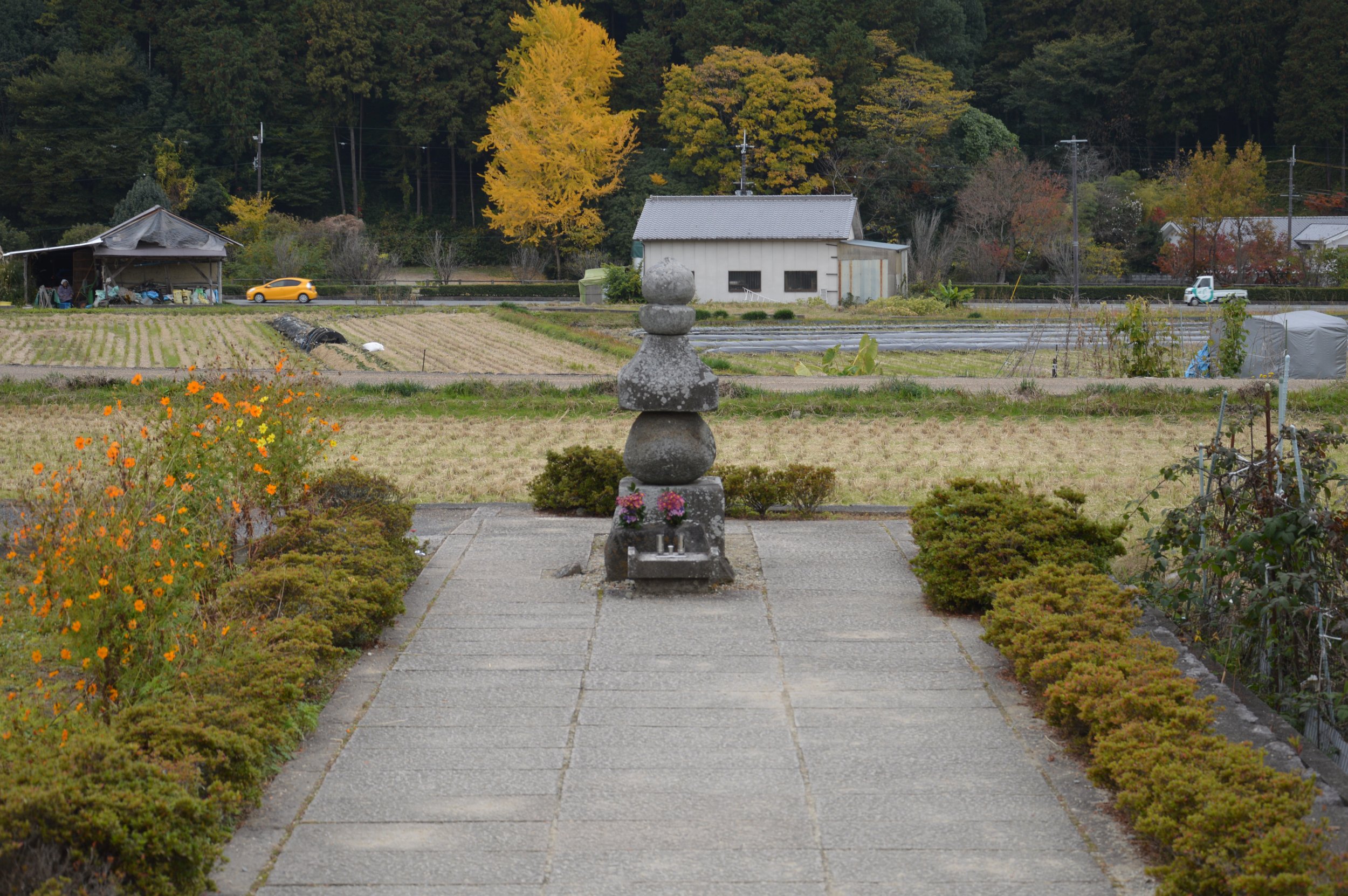 Asukadera 1.jpg