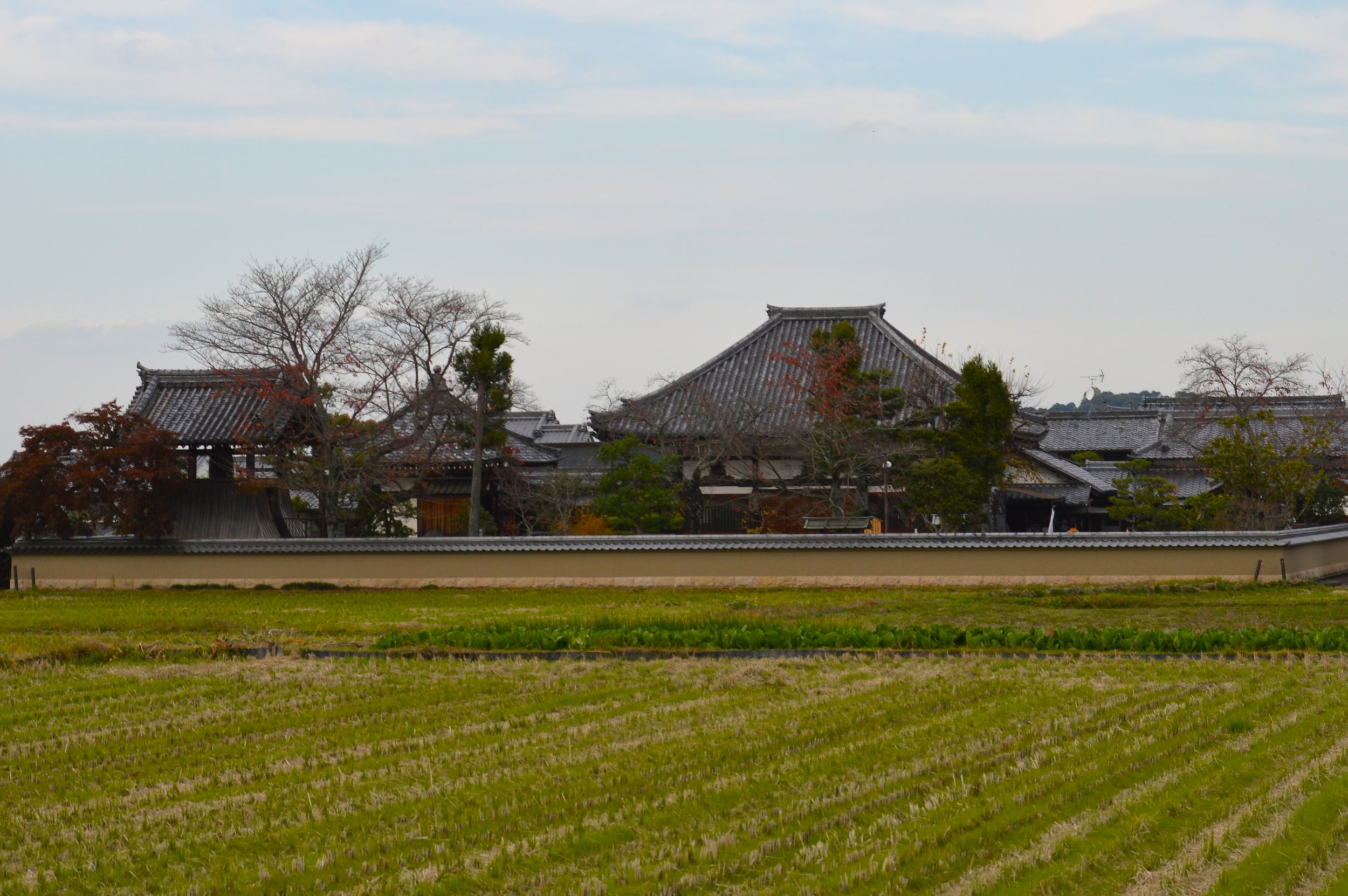 Asukadera 7.jpg