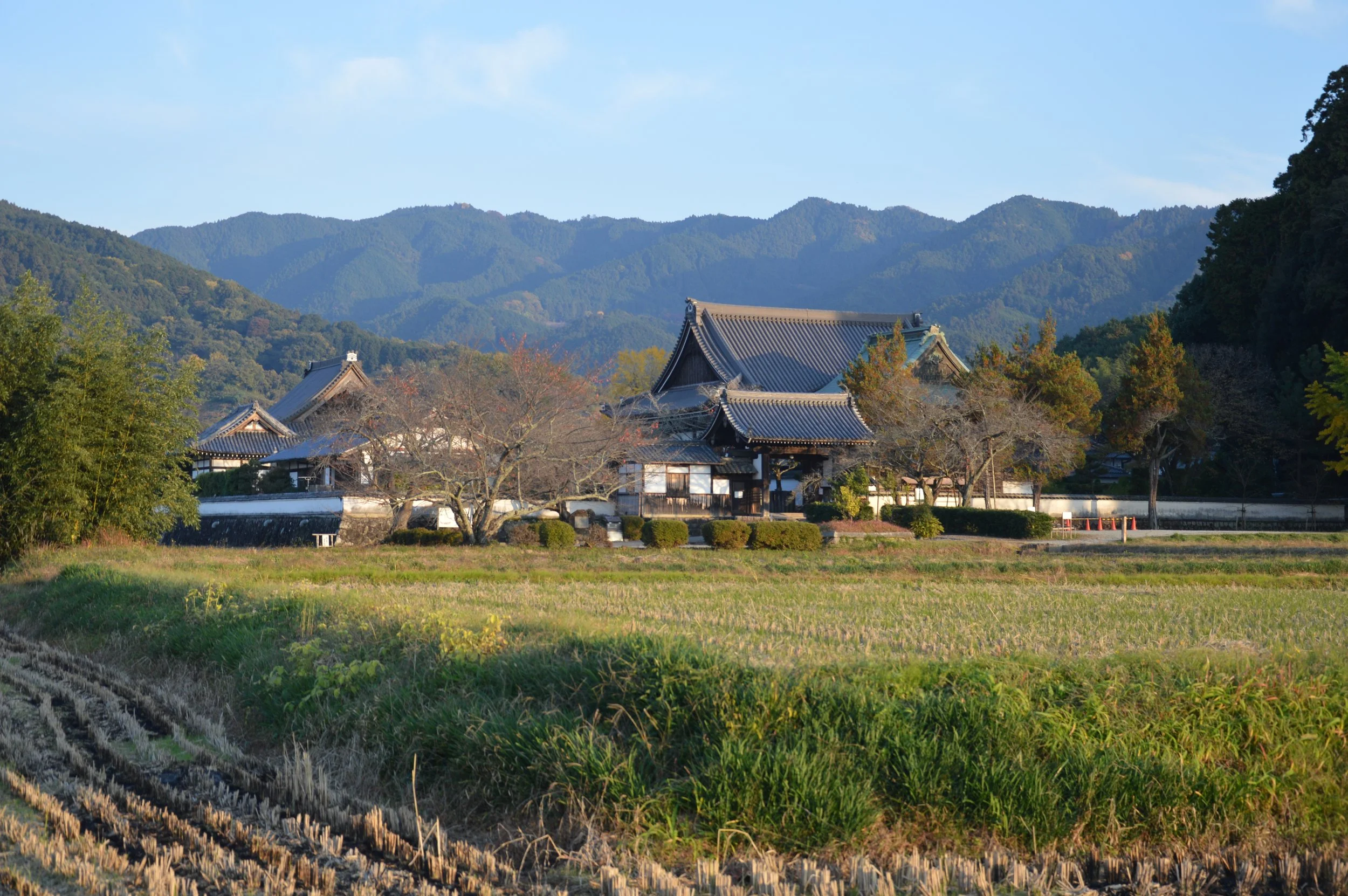 Tachibanadera 5.jpg