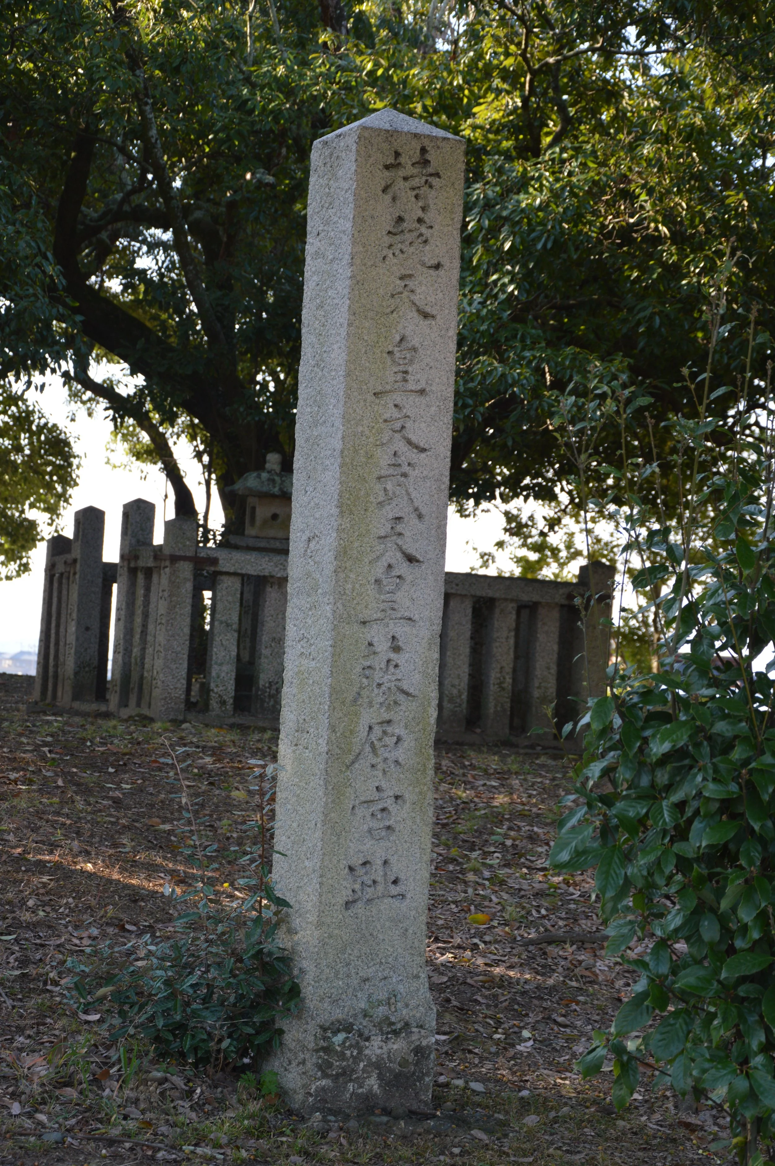 Fujiwara 6.jpg