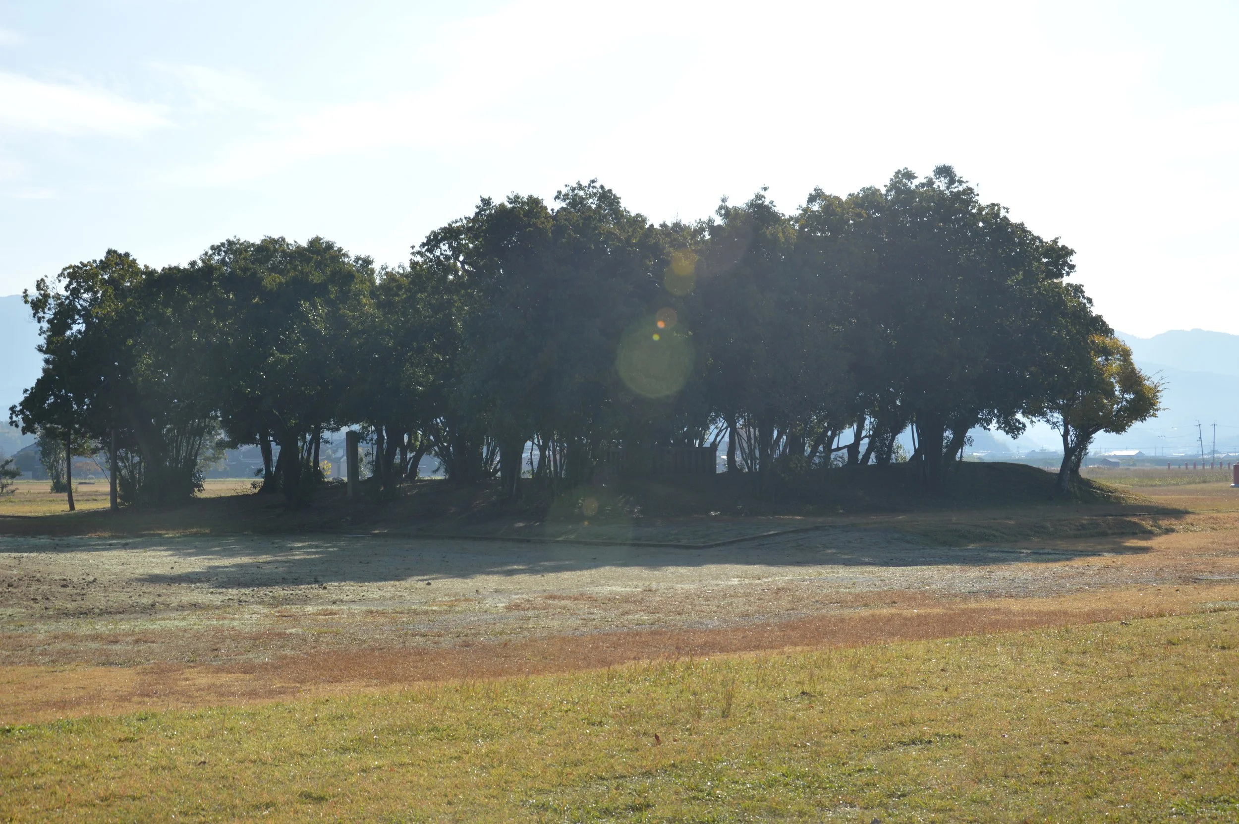 Fujiwara 7.jpg