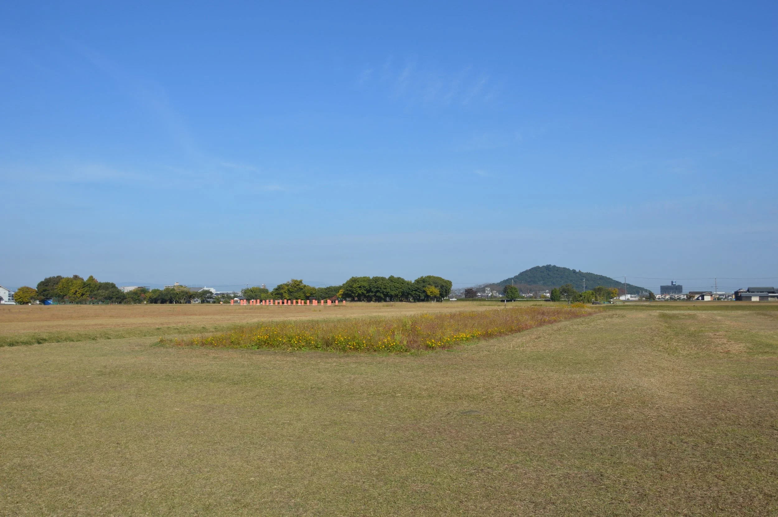 Fujiwara 14.jpg