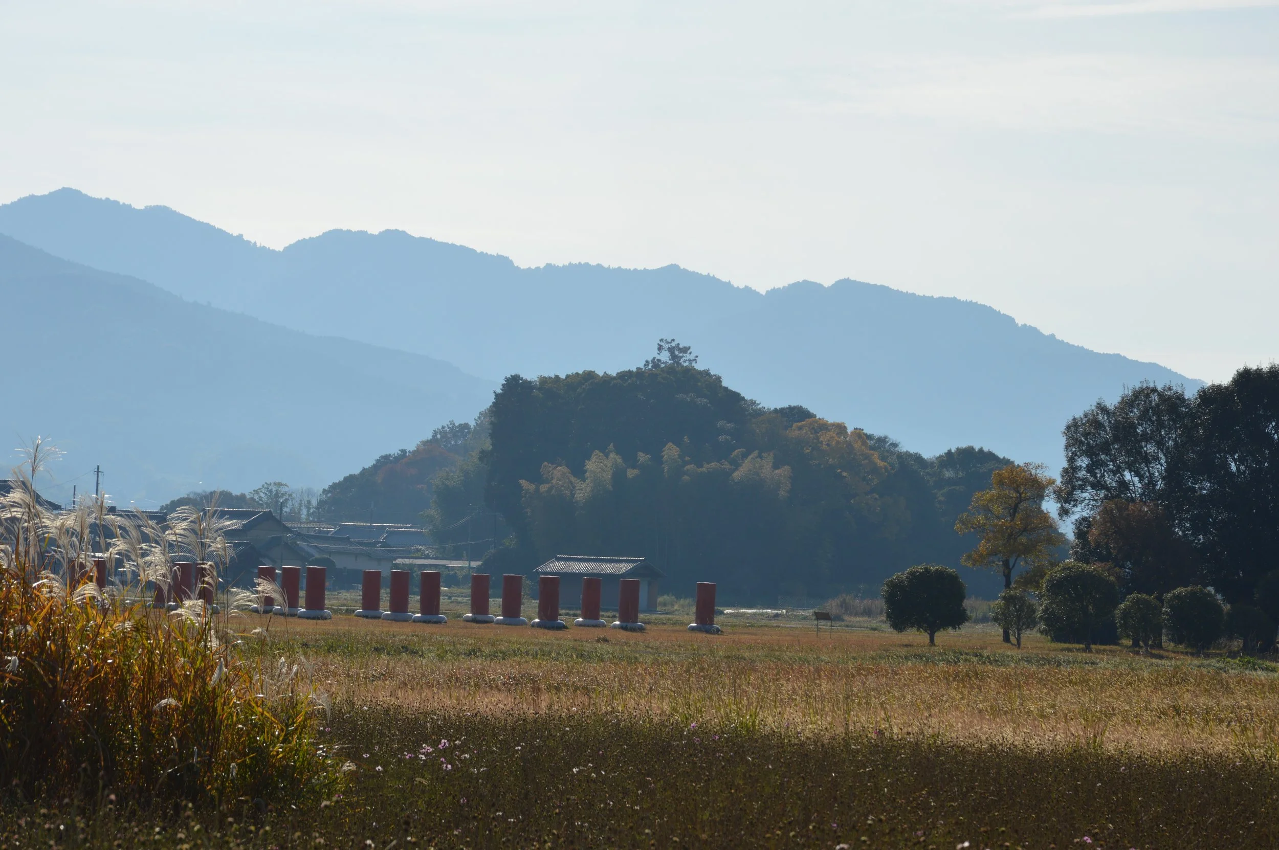 Fujwiara 12.jpg