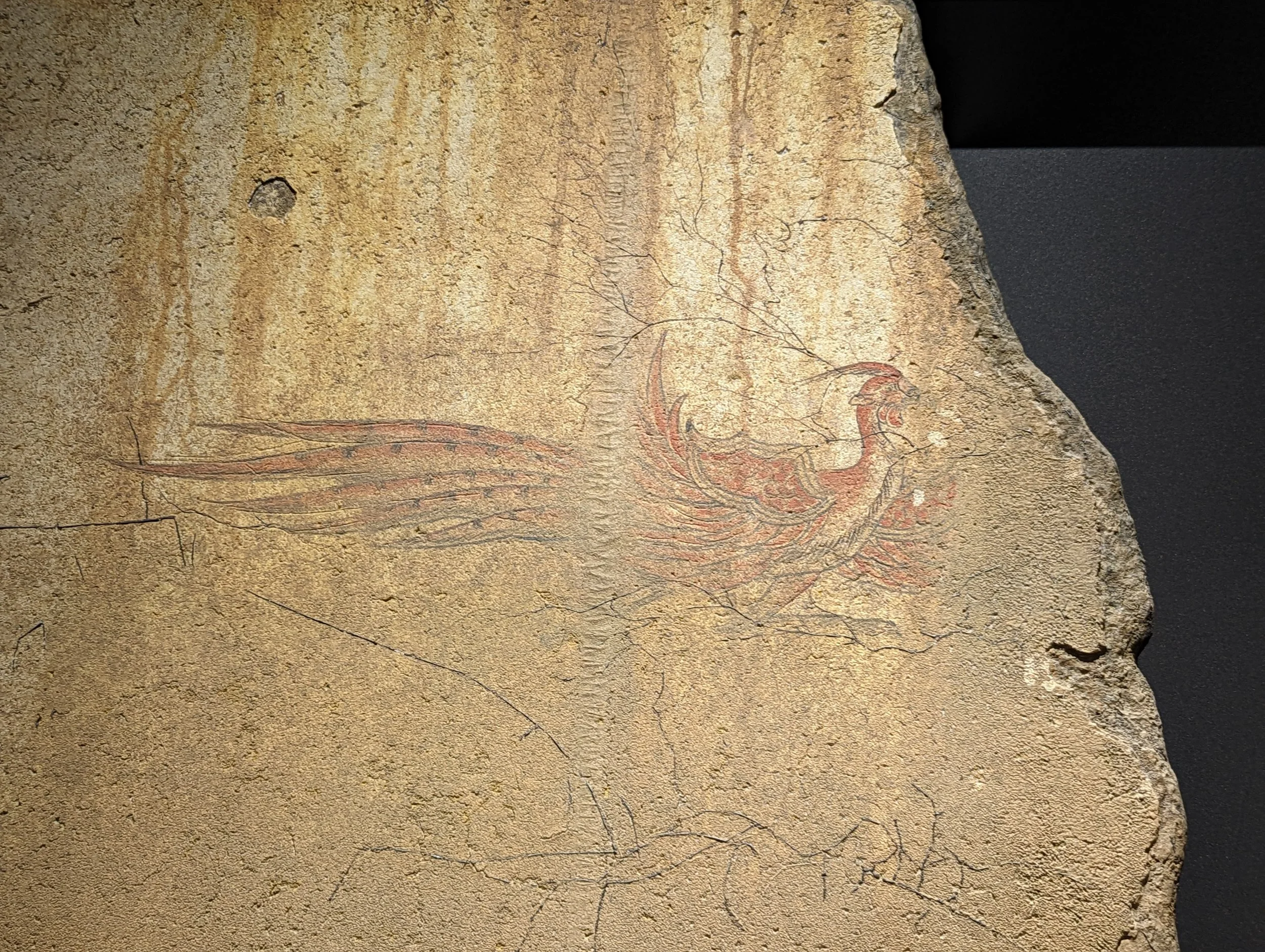 Kitora 3.jpg