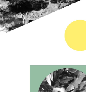 Screen Shot 2019-07-03 at 11.55.14.png